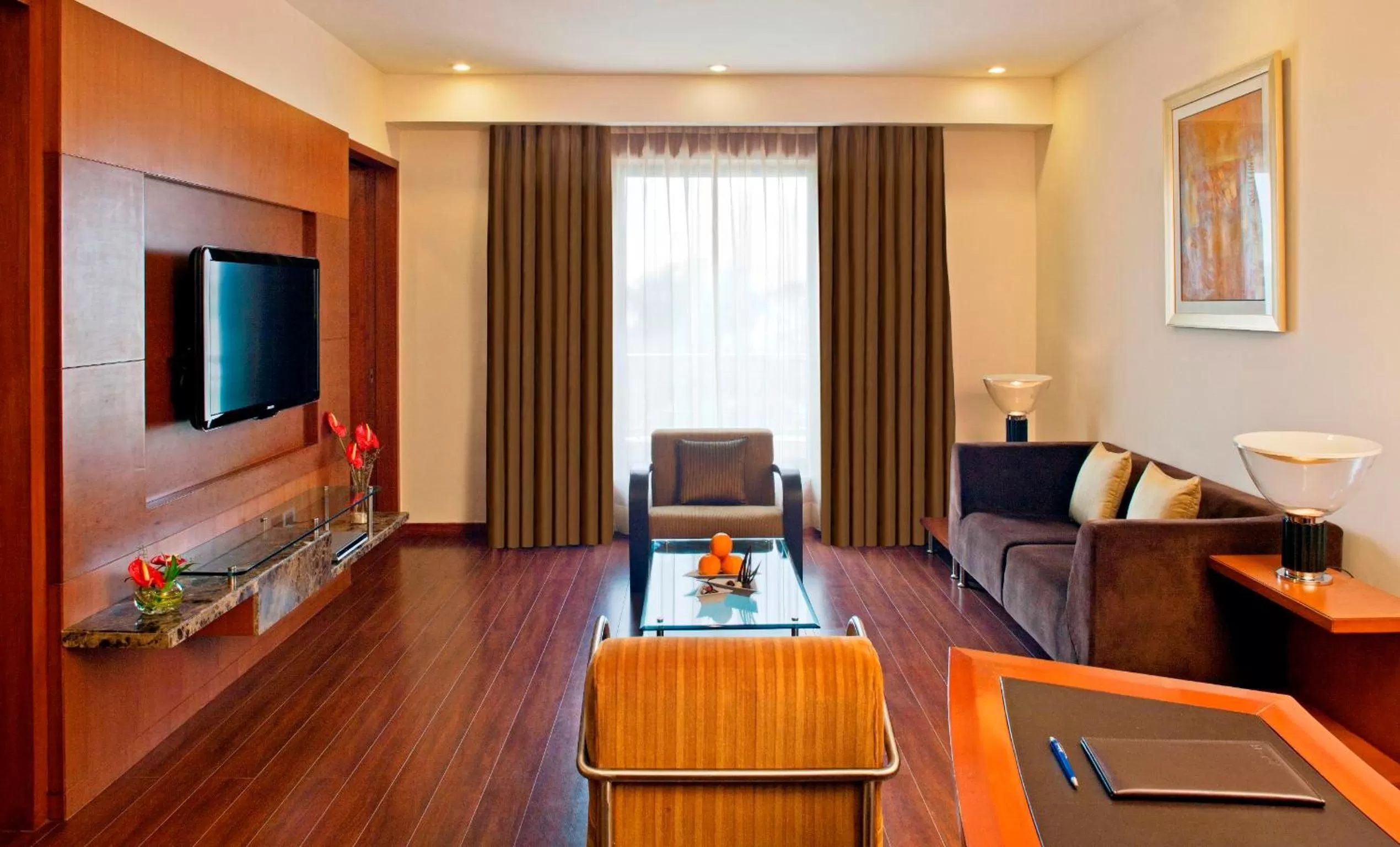 TV and multimedia in Radisson Blu Plaza Delhi Airport