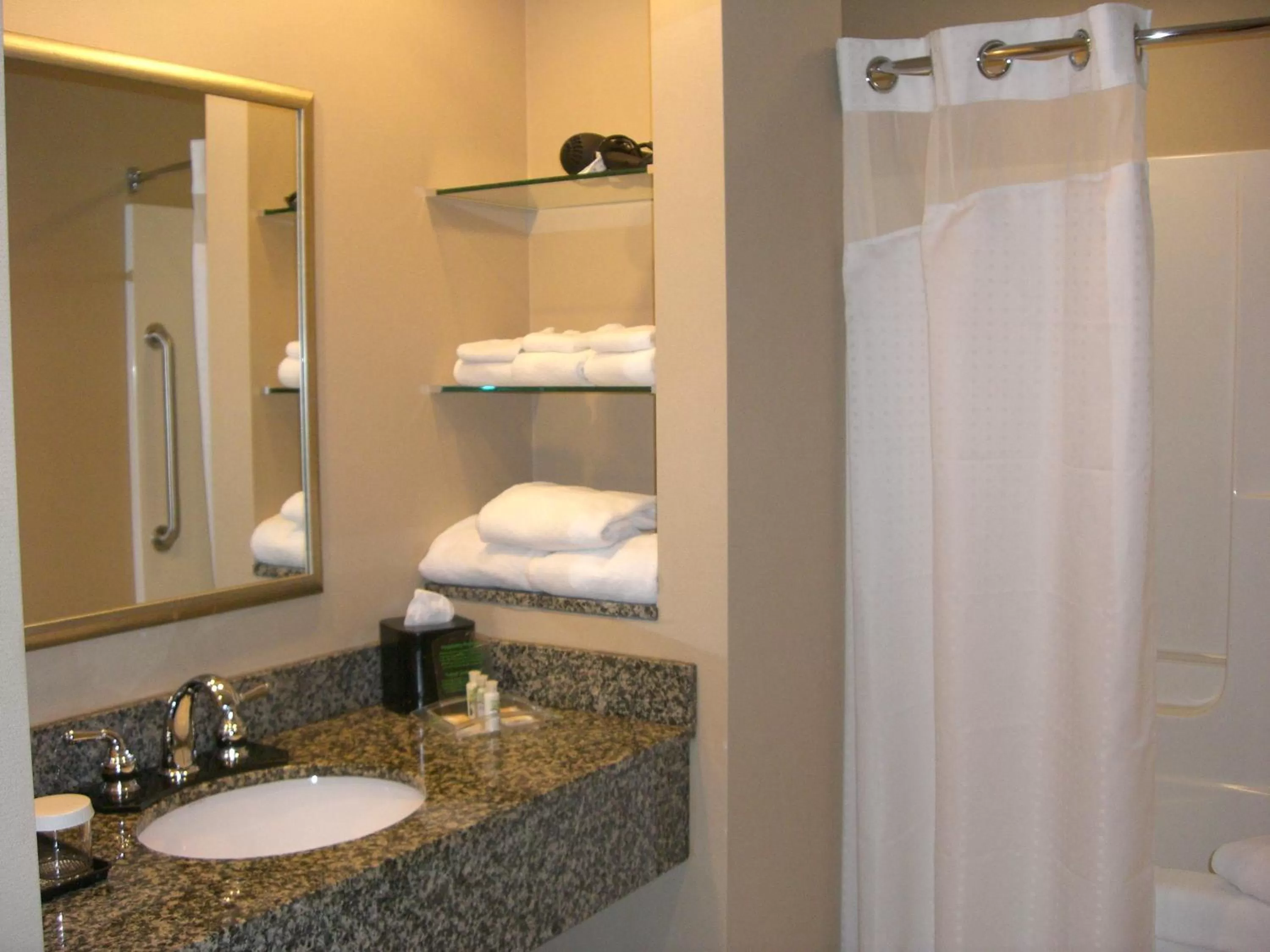 Shower in Holiday Inn St. Paul Northeast - Lake Elmo by IHG