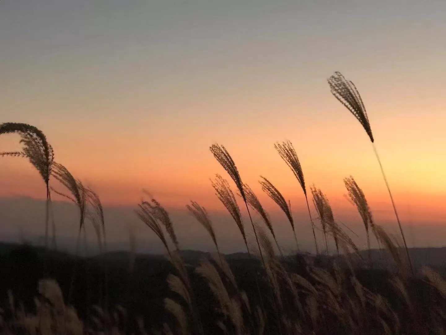 Sunrise/Sunset in Hoshi no Sato