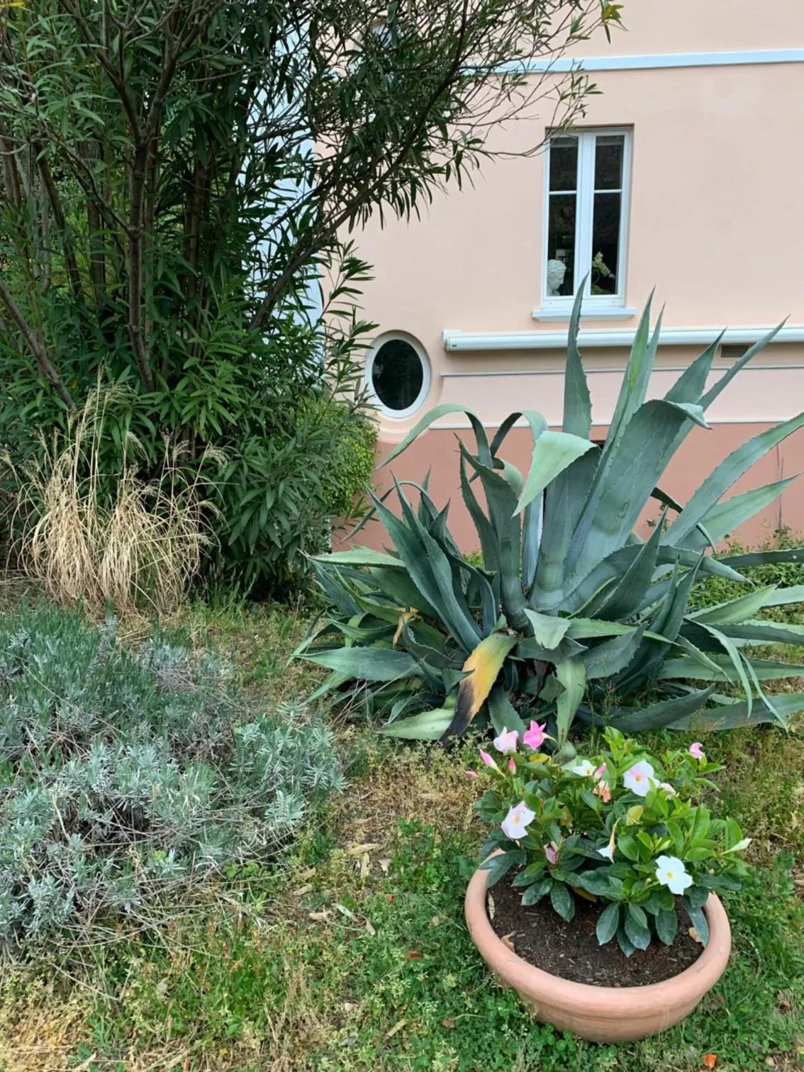 Garden in CASABELLA-LAGO MAGGIORE