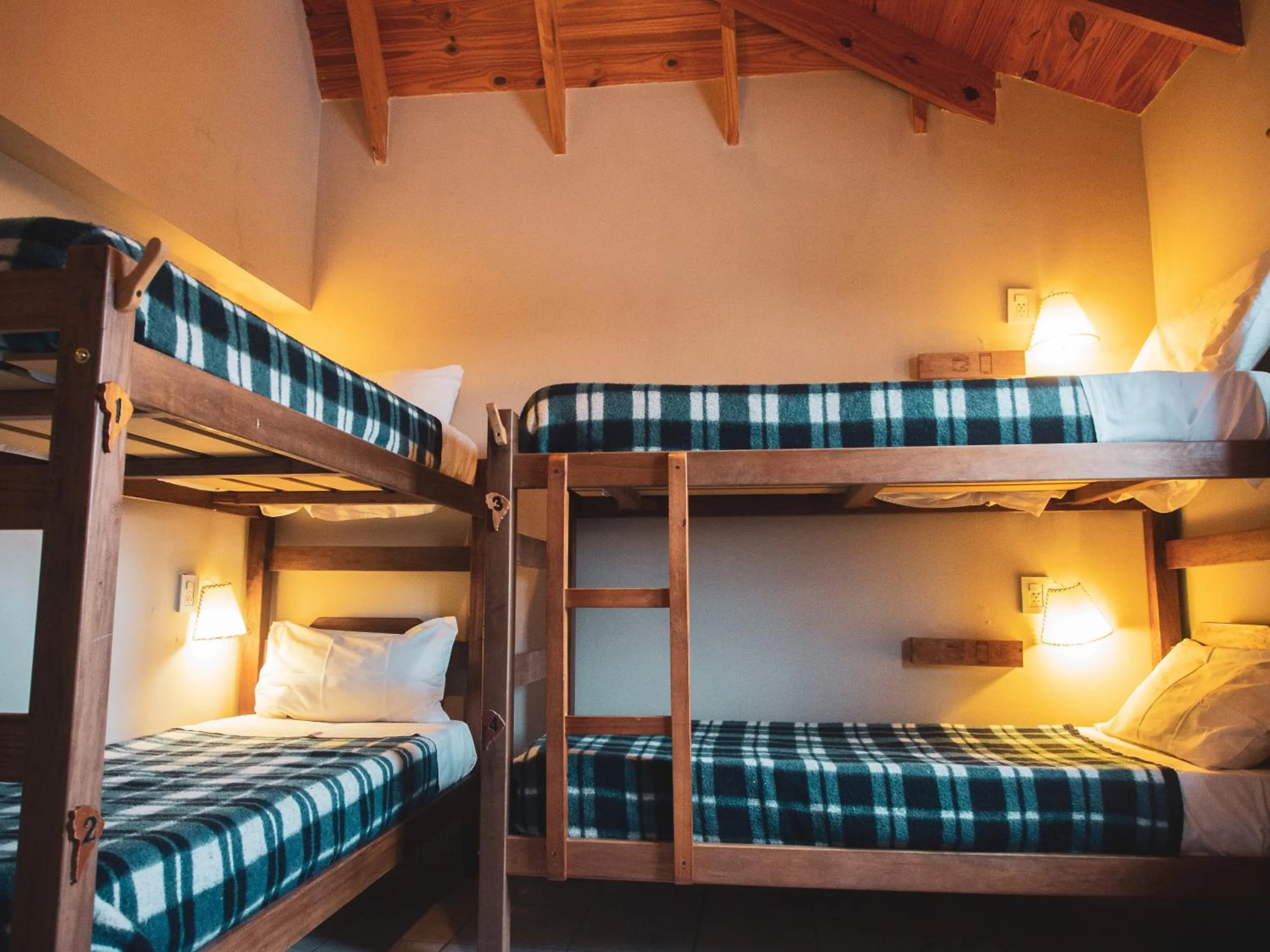 bunk bed, Bed in America Del Sur Calafate Hostel