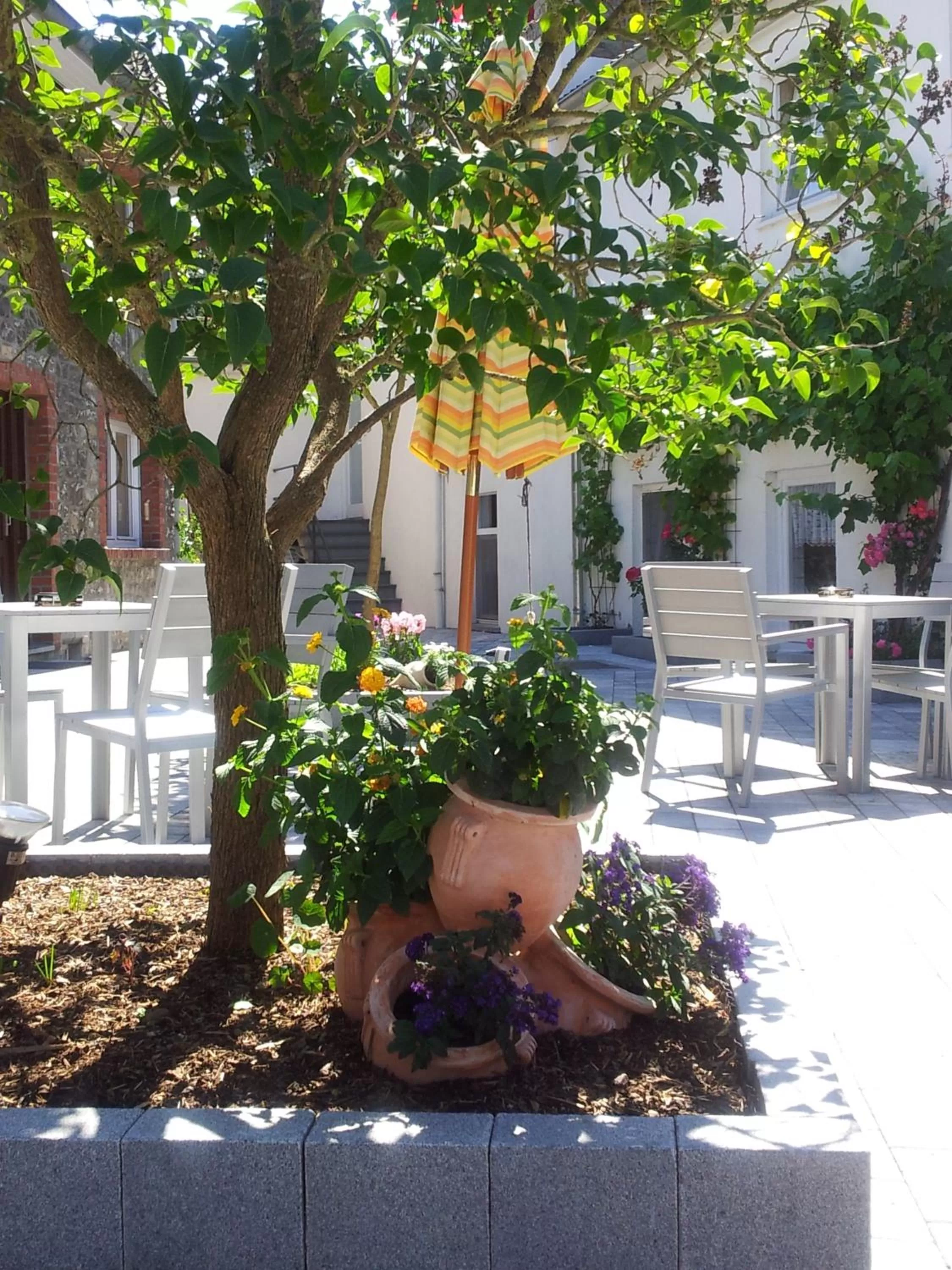 Area and facilities in Hotel Restaurant Tychon AG