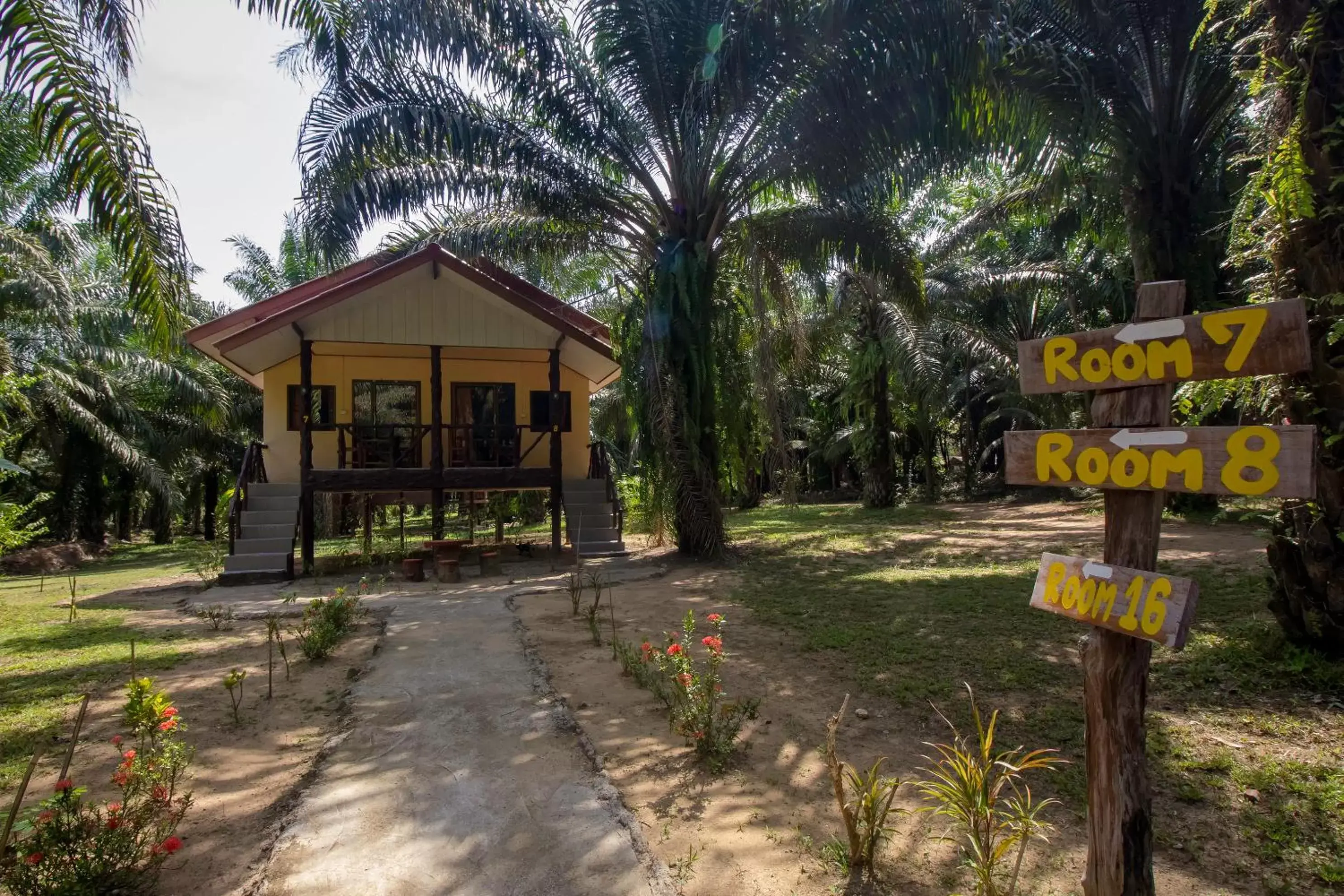 Cottage (2 Adults) A in Khao Sok Palmview Resort Cottage (2 Adults) A in Khao Sok Palmview Resort