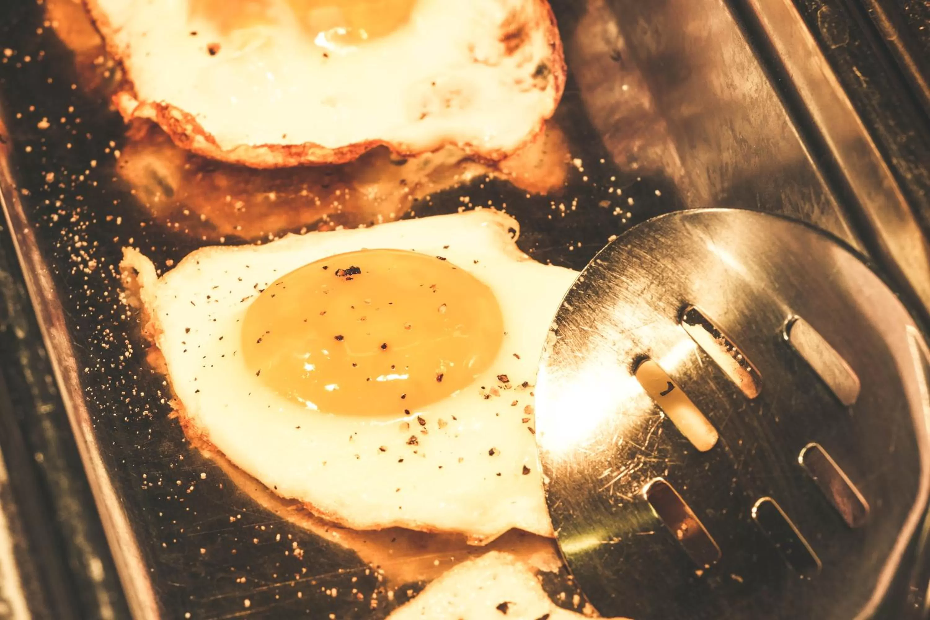 Restaurant/places to eat in Frutigresort