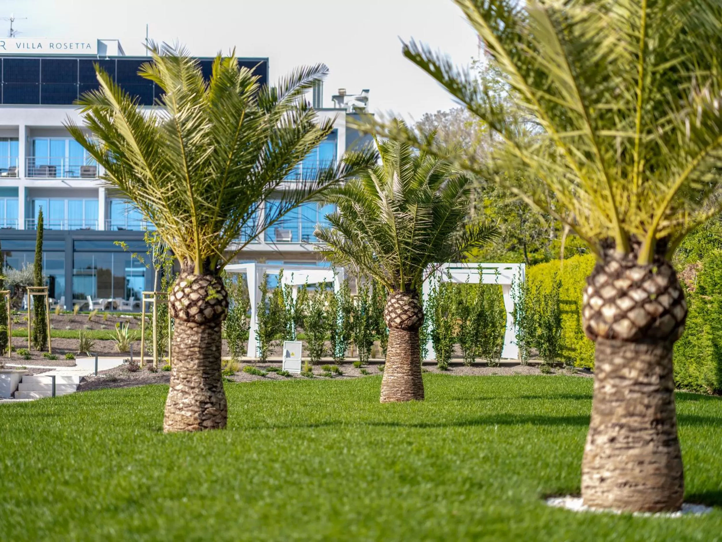 Garden in Hotel Villa Rosetta