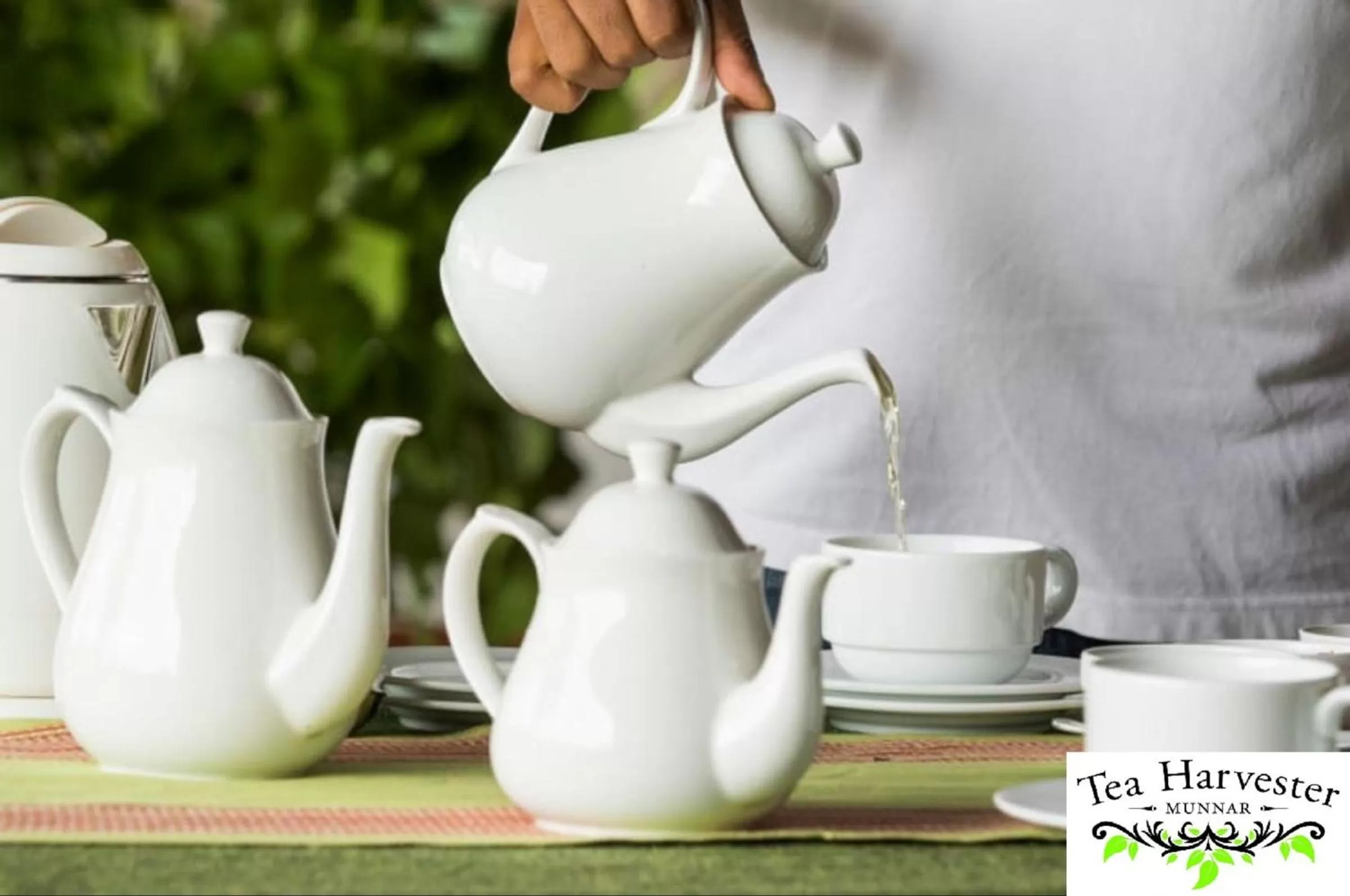 Staff in Tea Harvester