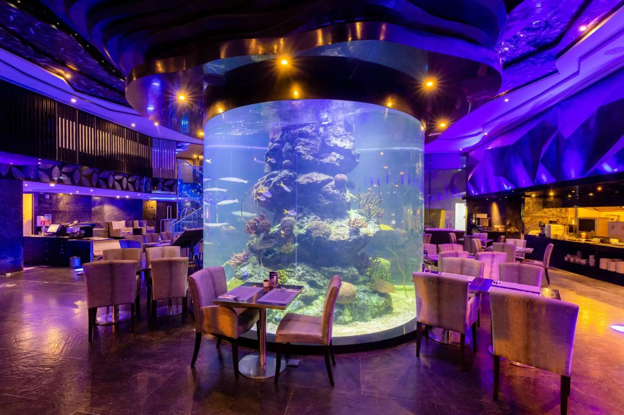 Dining area in Centara Azure Hotel Pattaya