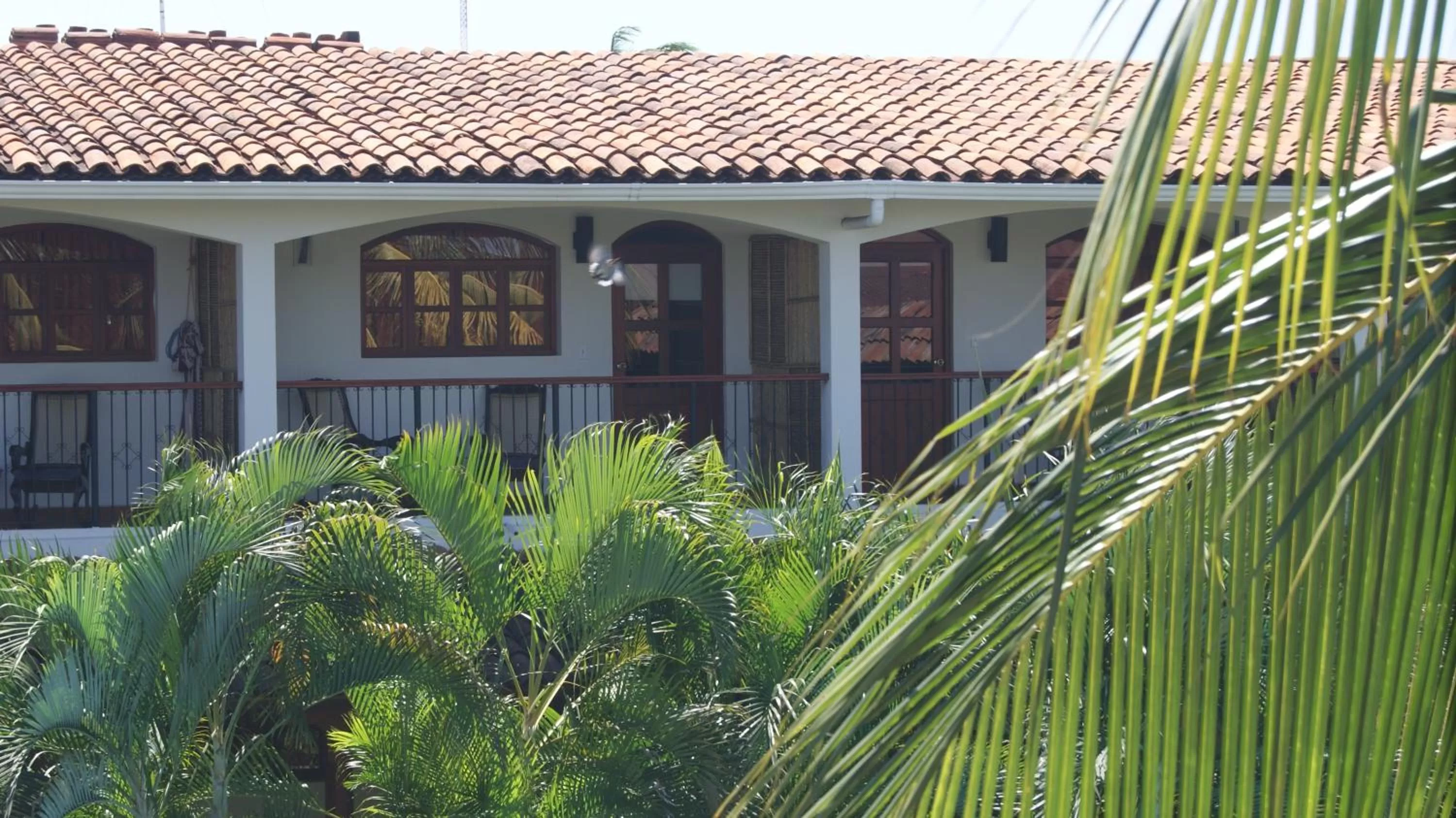Balcony/Terrace in Hotel Cacique Adiact