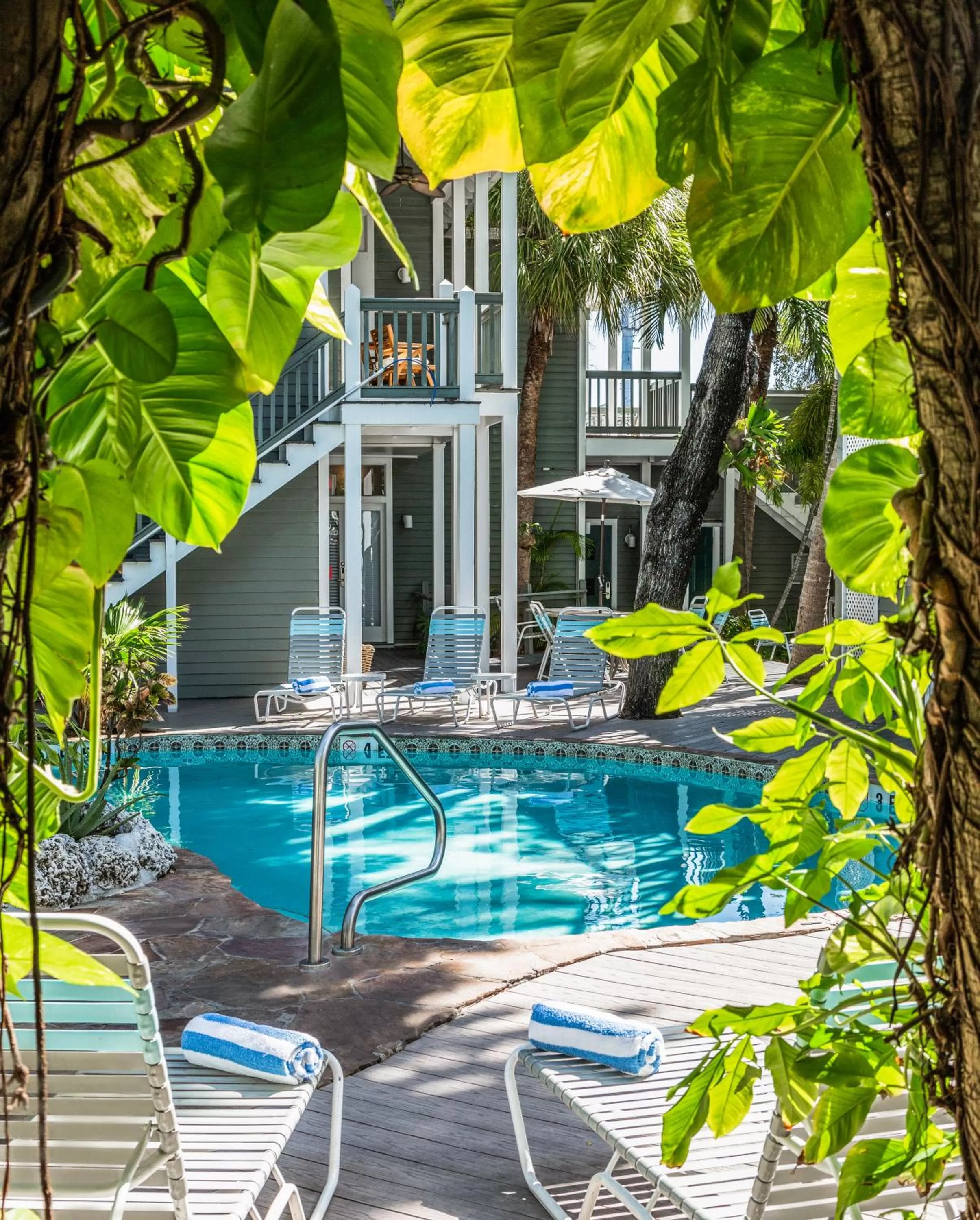 Swimming pool in The Cabana Inn Key West - Adult Exclusive
