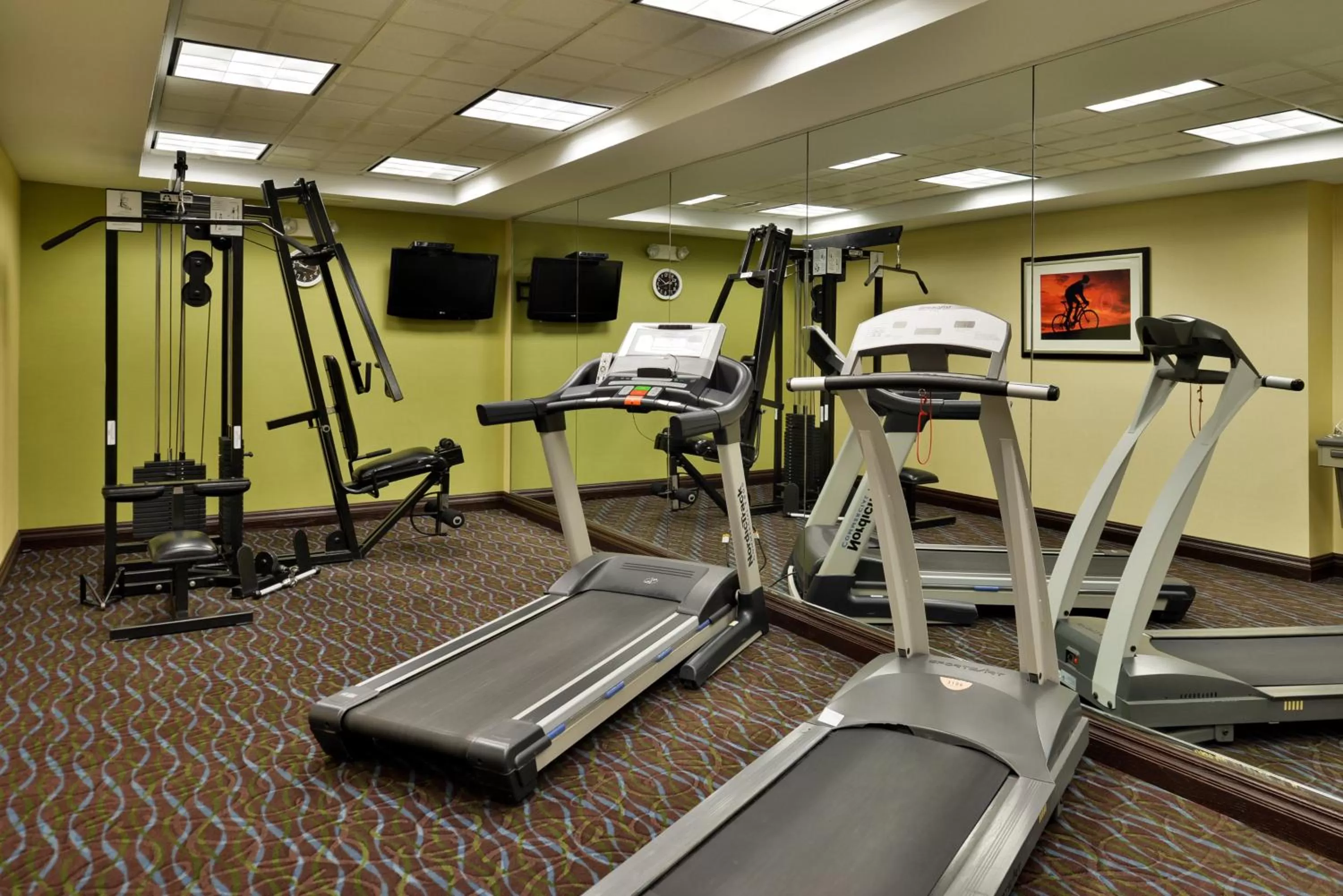 Spa and wellness centre/facilities in Holiday Inn Express Hotel & Suites Charlotte by IHG