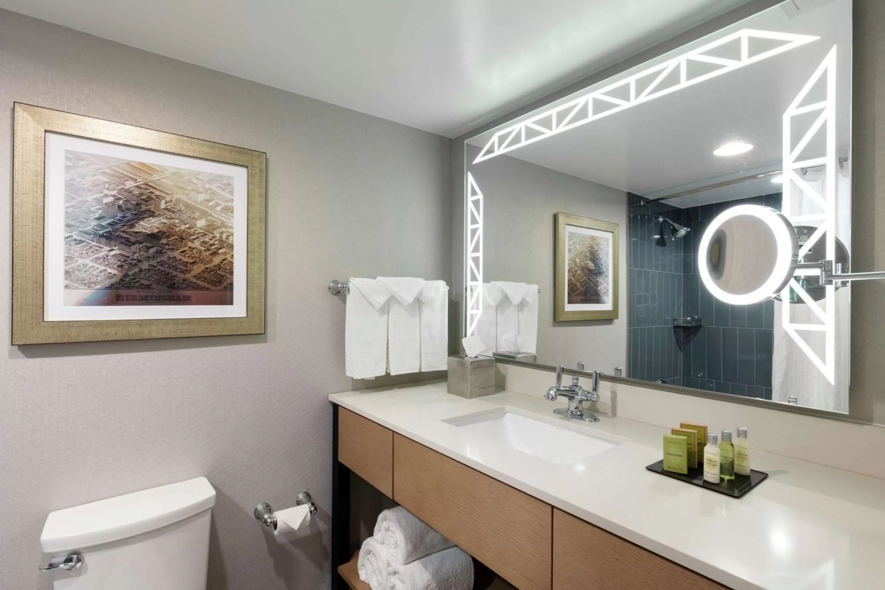 Bathroom in DoubleTree Birmingham Perimeter Park