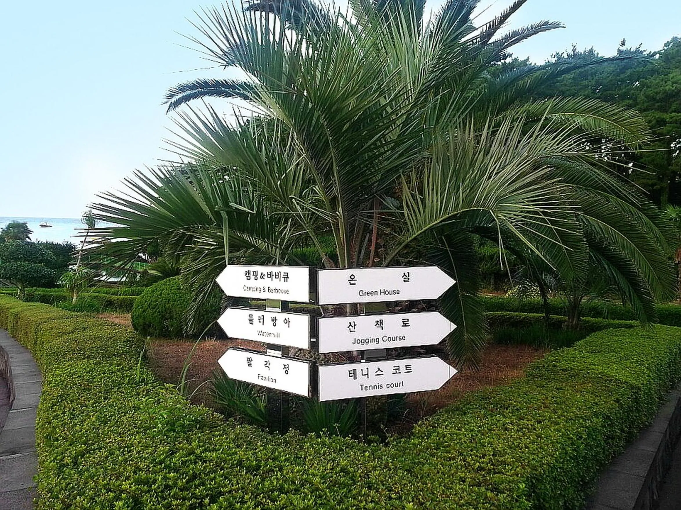 Neighbourhood in Seogwipo KAL Hotel