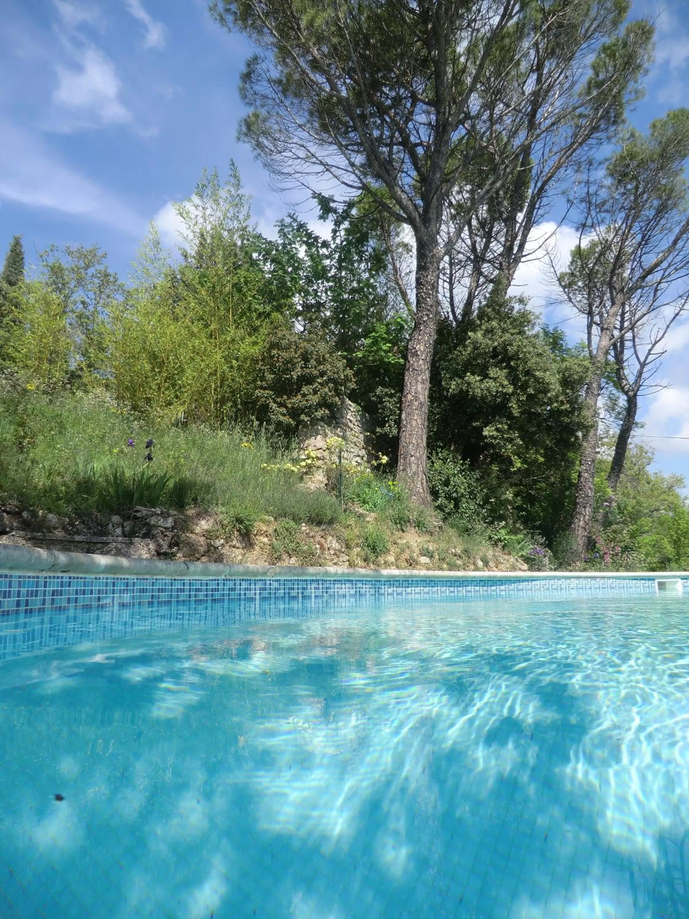 Swimming Pool in Le Moulin de Varrians