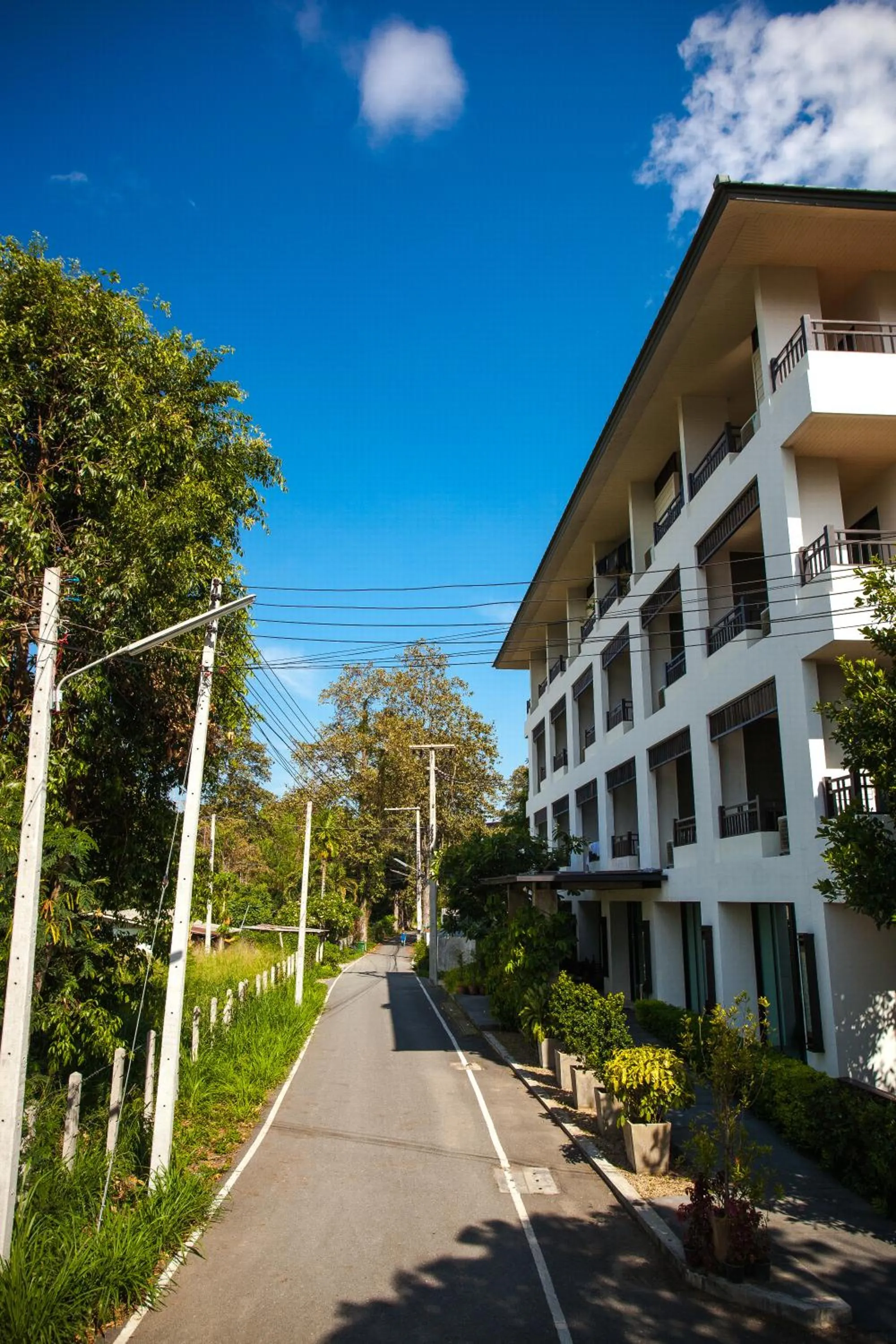 Facade/entrance in Sang Serene House