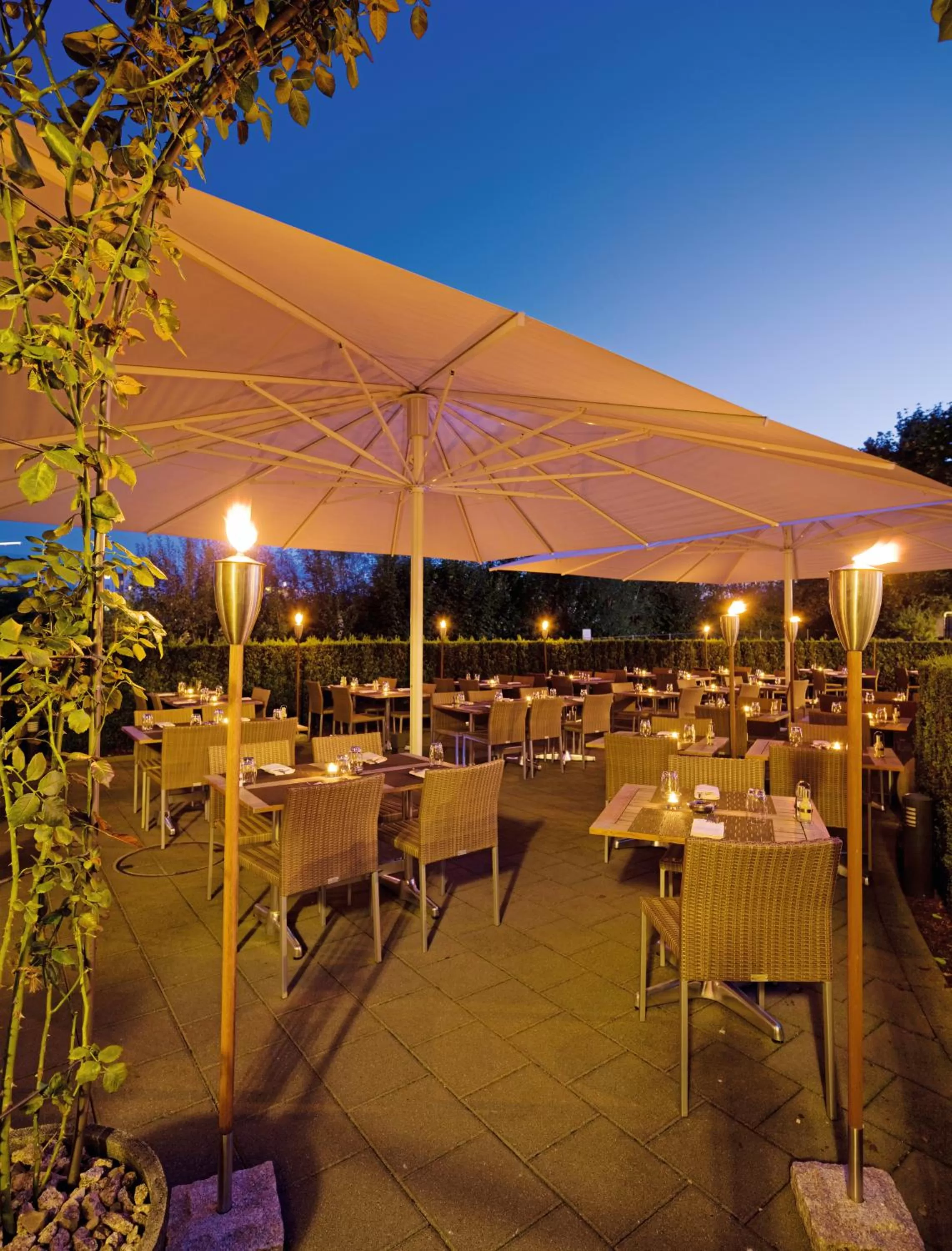 Restaurant/places to eat in Mövenpick Hotel Zurich Airport