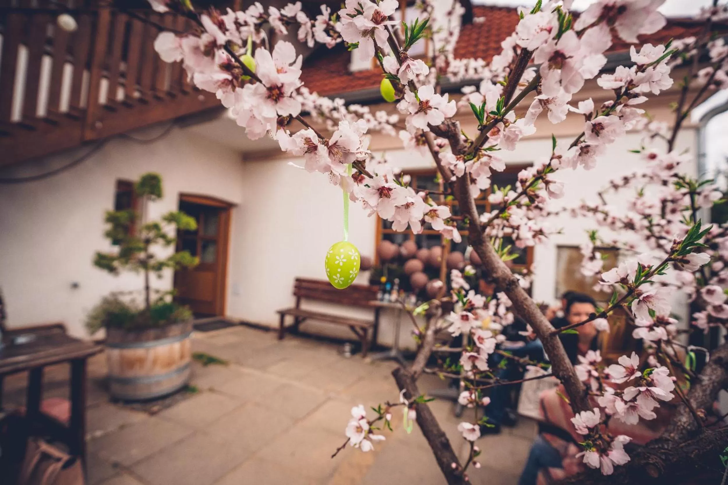 Patio in Apartmány Malý mnich