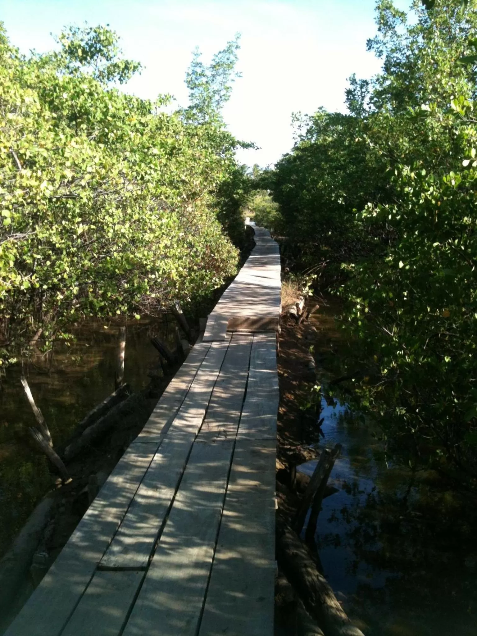 Nearby landmark in Pousada Villa Tatuamunha