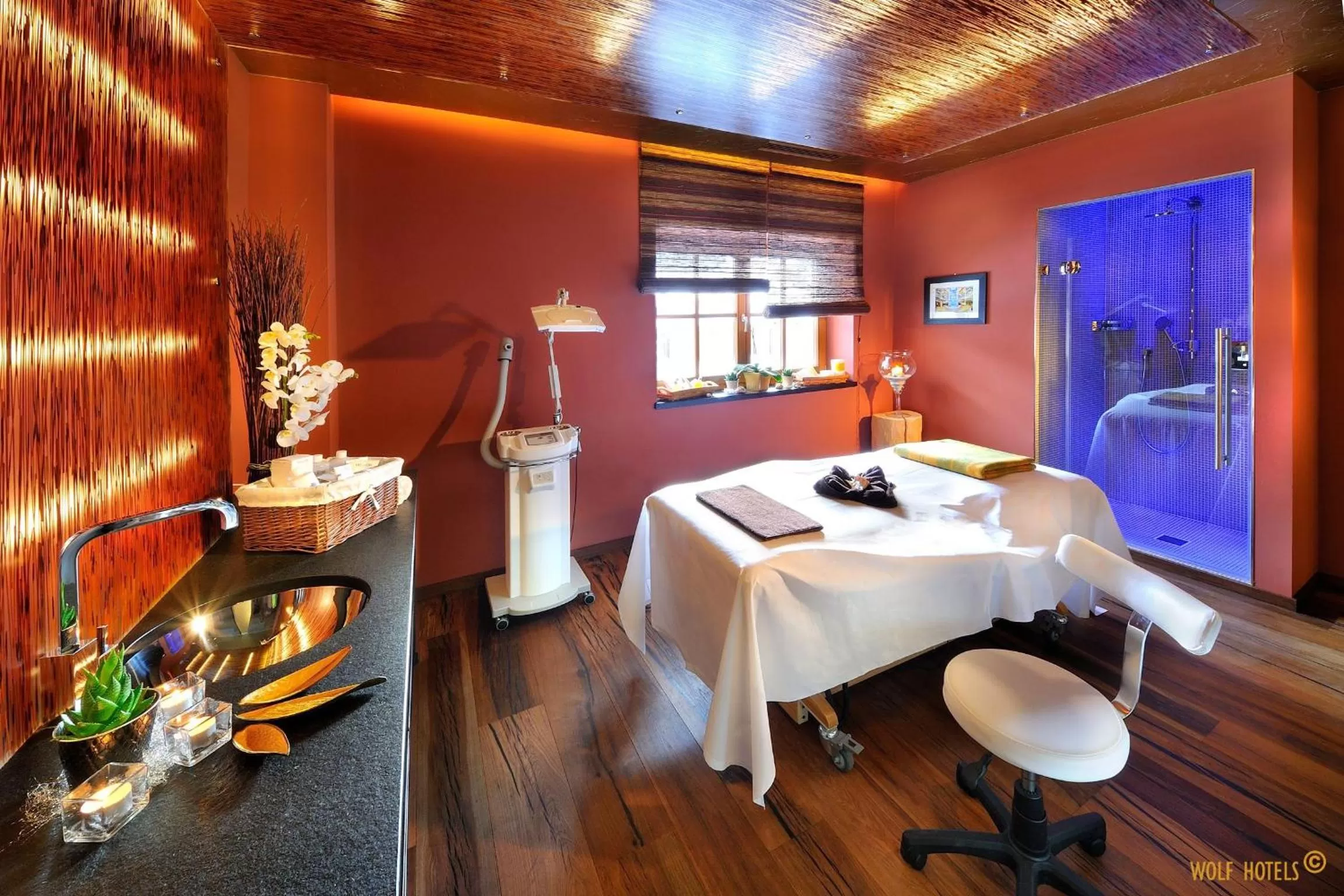 Spa and wellness centre/facilities in Hotel Alpine Palace