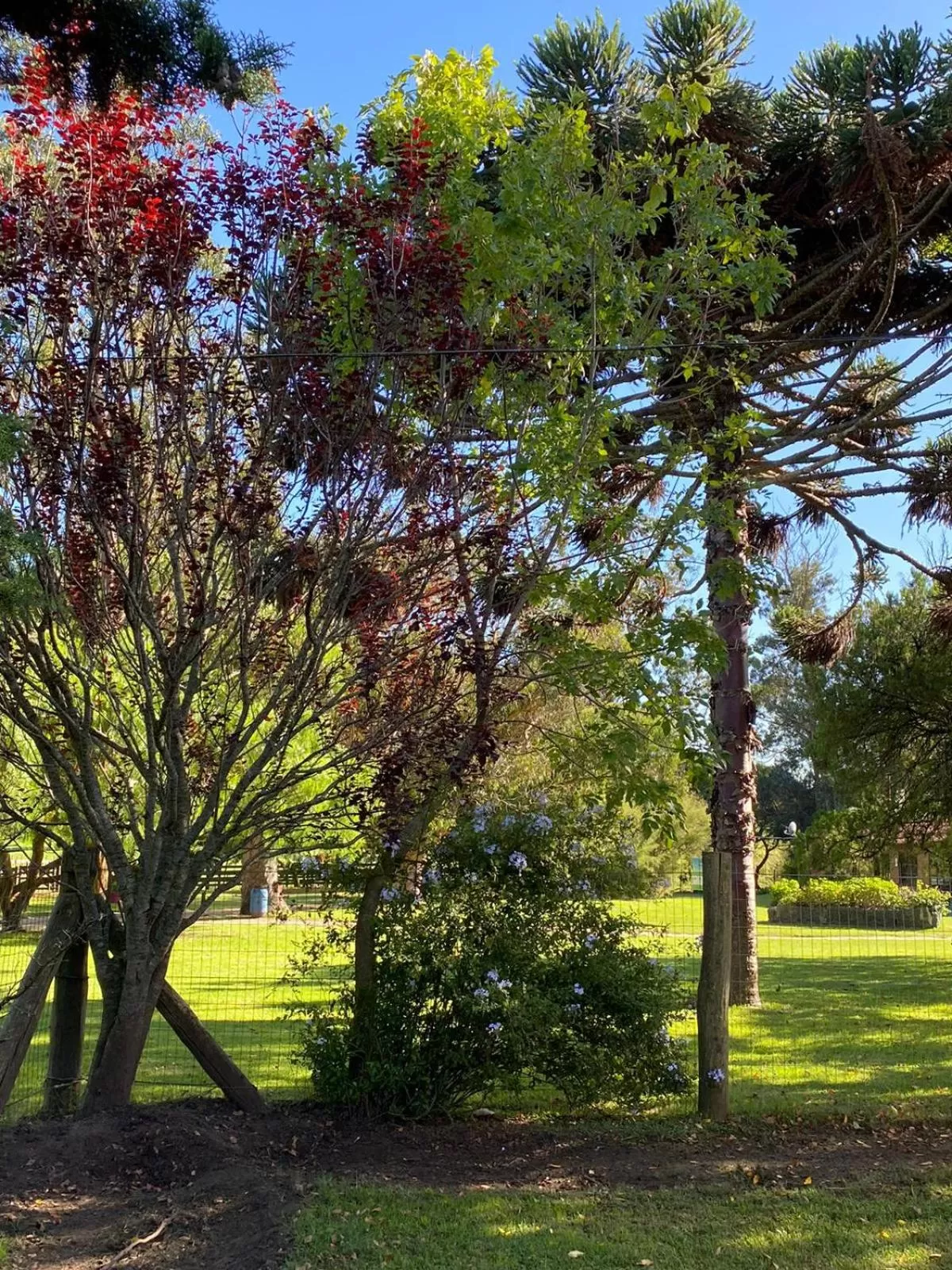 Natural landscape in Estancia Renacimiento