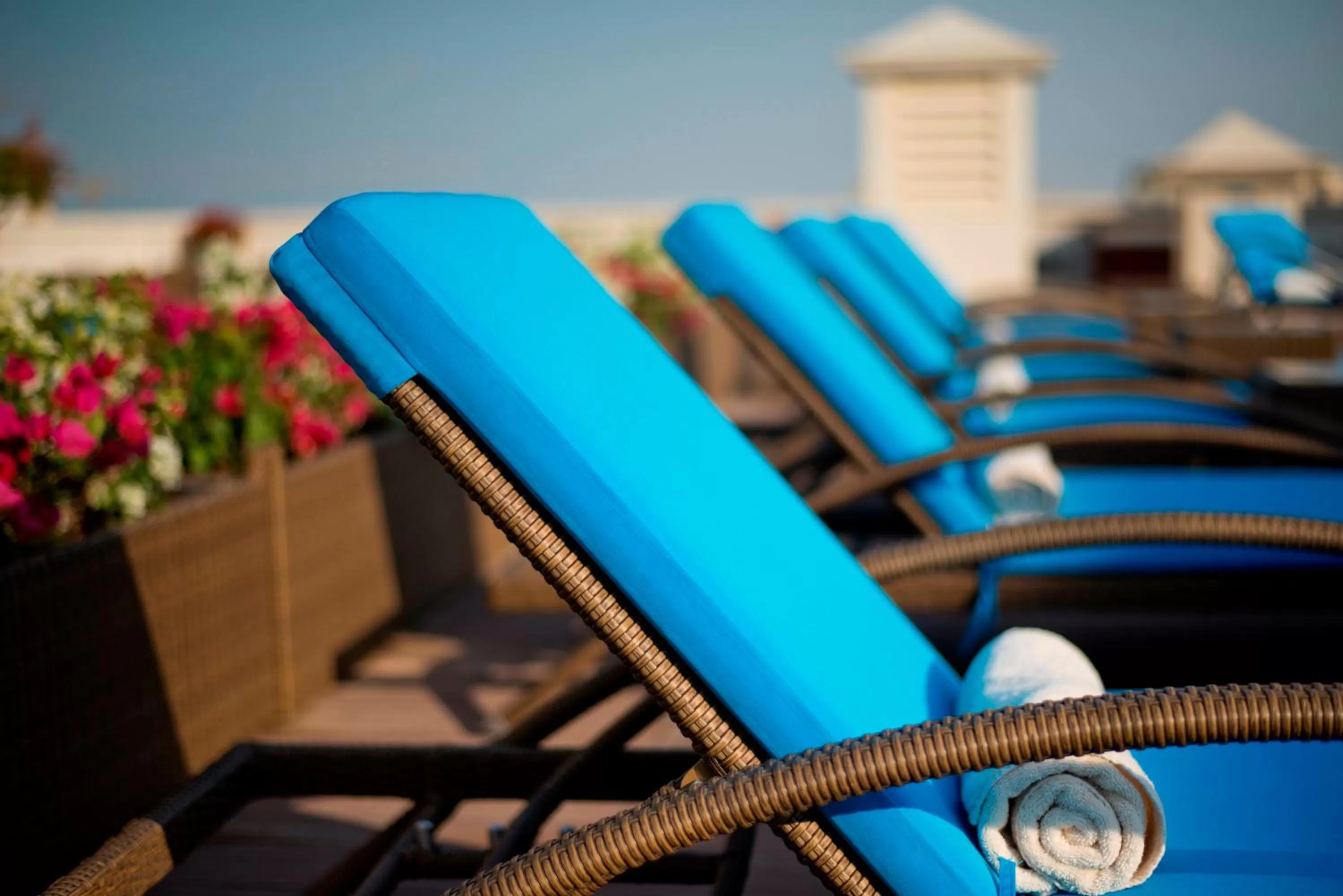 Swimming pool in Warwick Doha