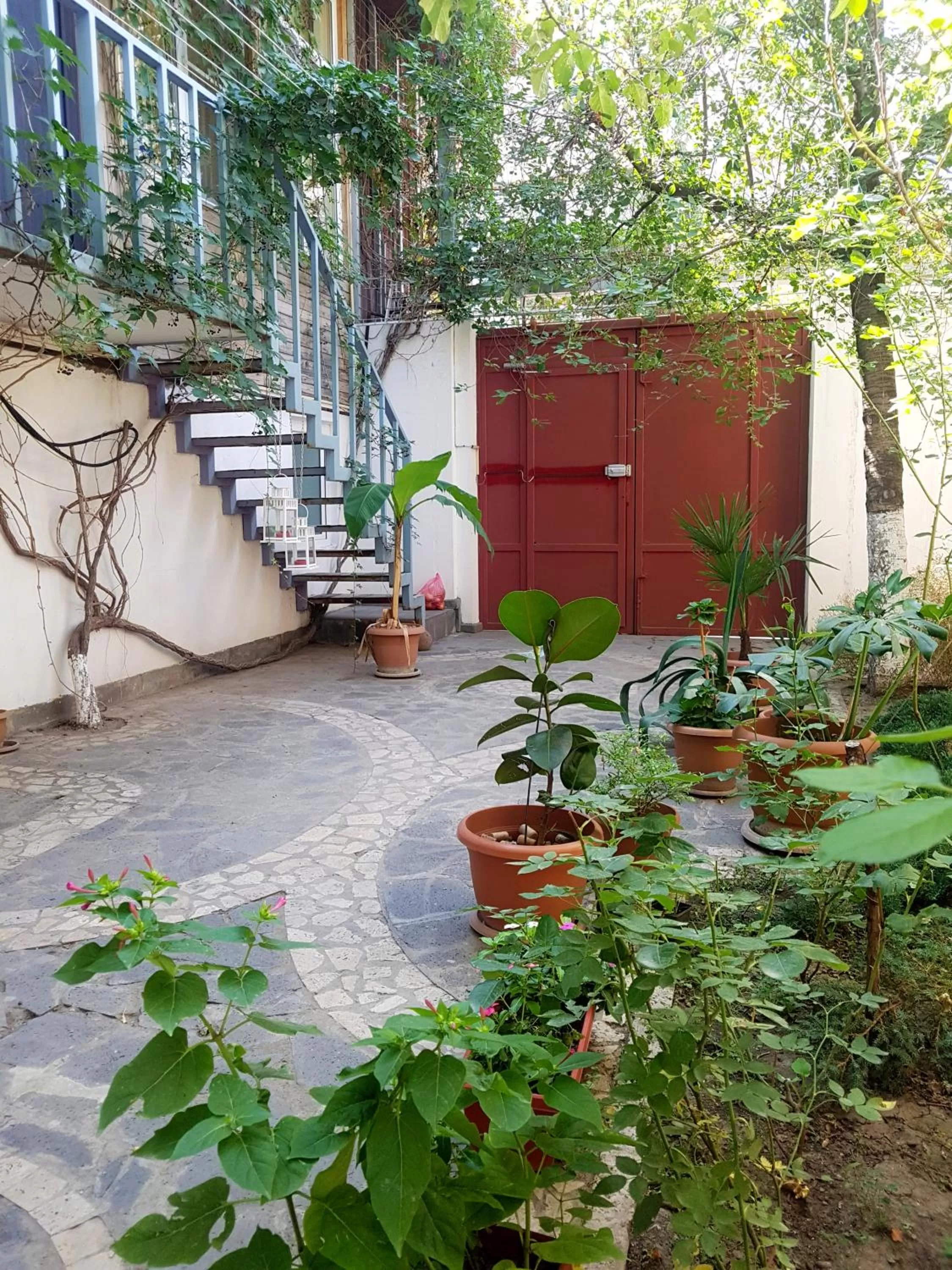 Garden in Armine's B&B