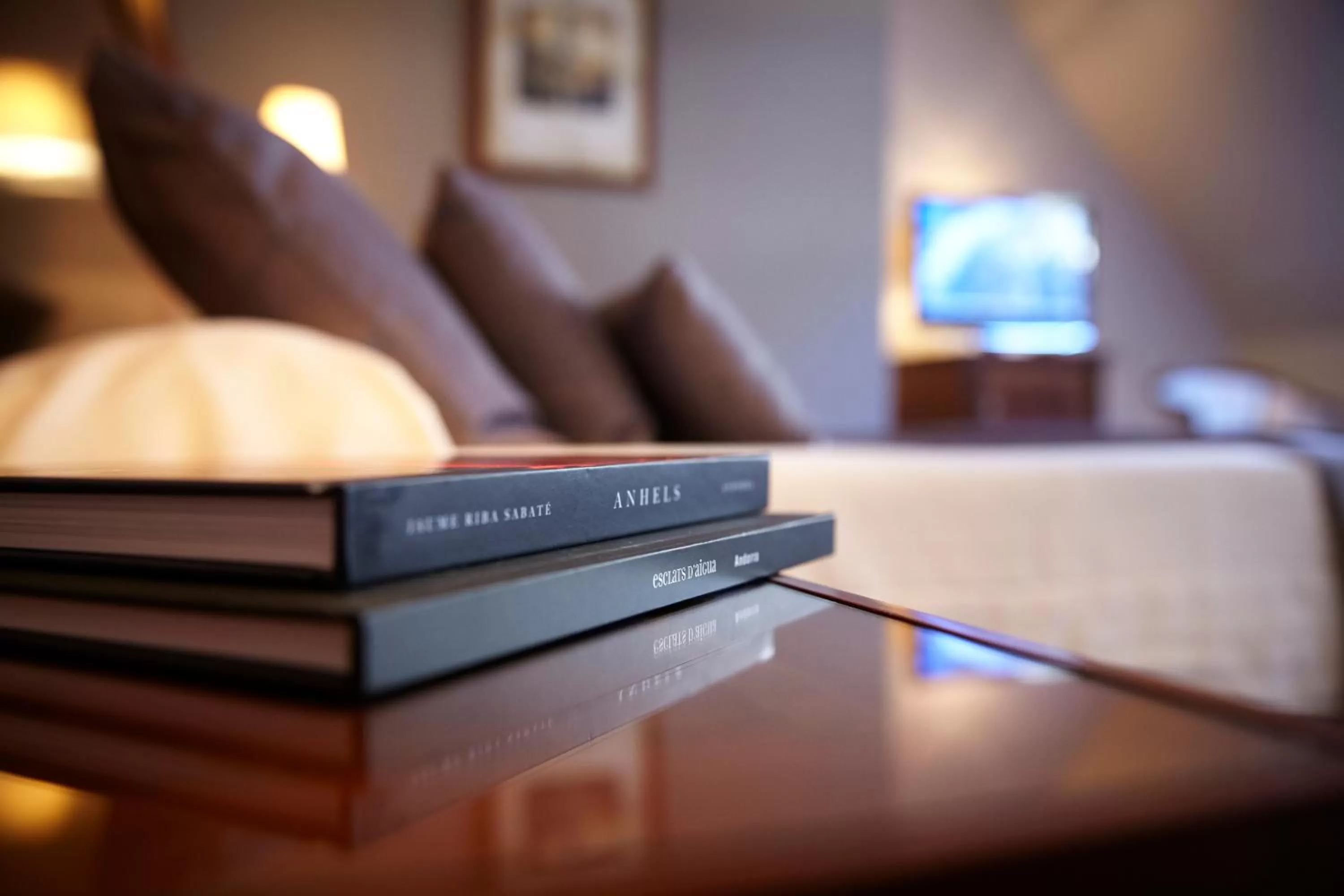 Decorative detail, TV/Entertainment Center in Fènix Hotel