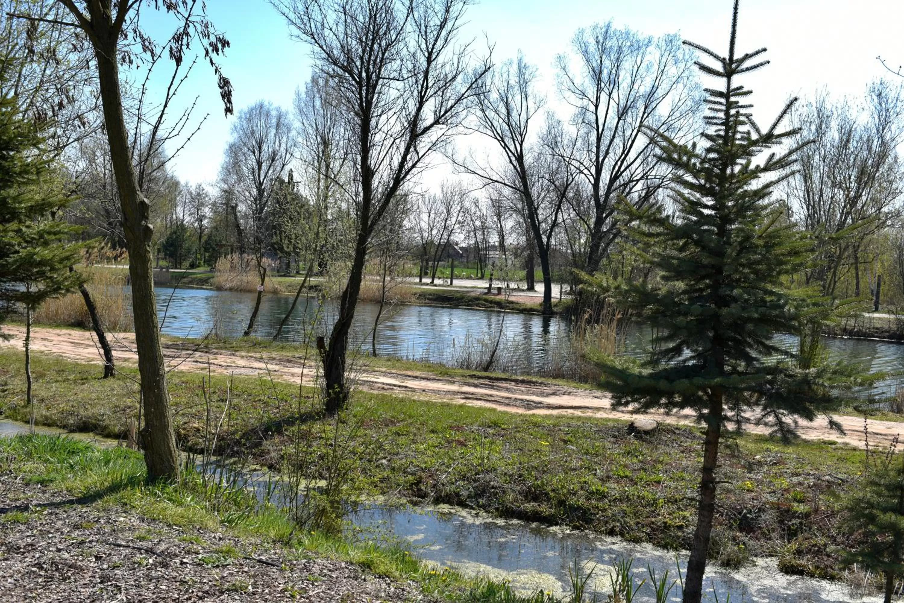 Garden in Zielona Weranda