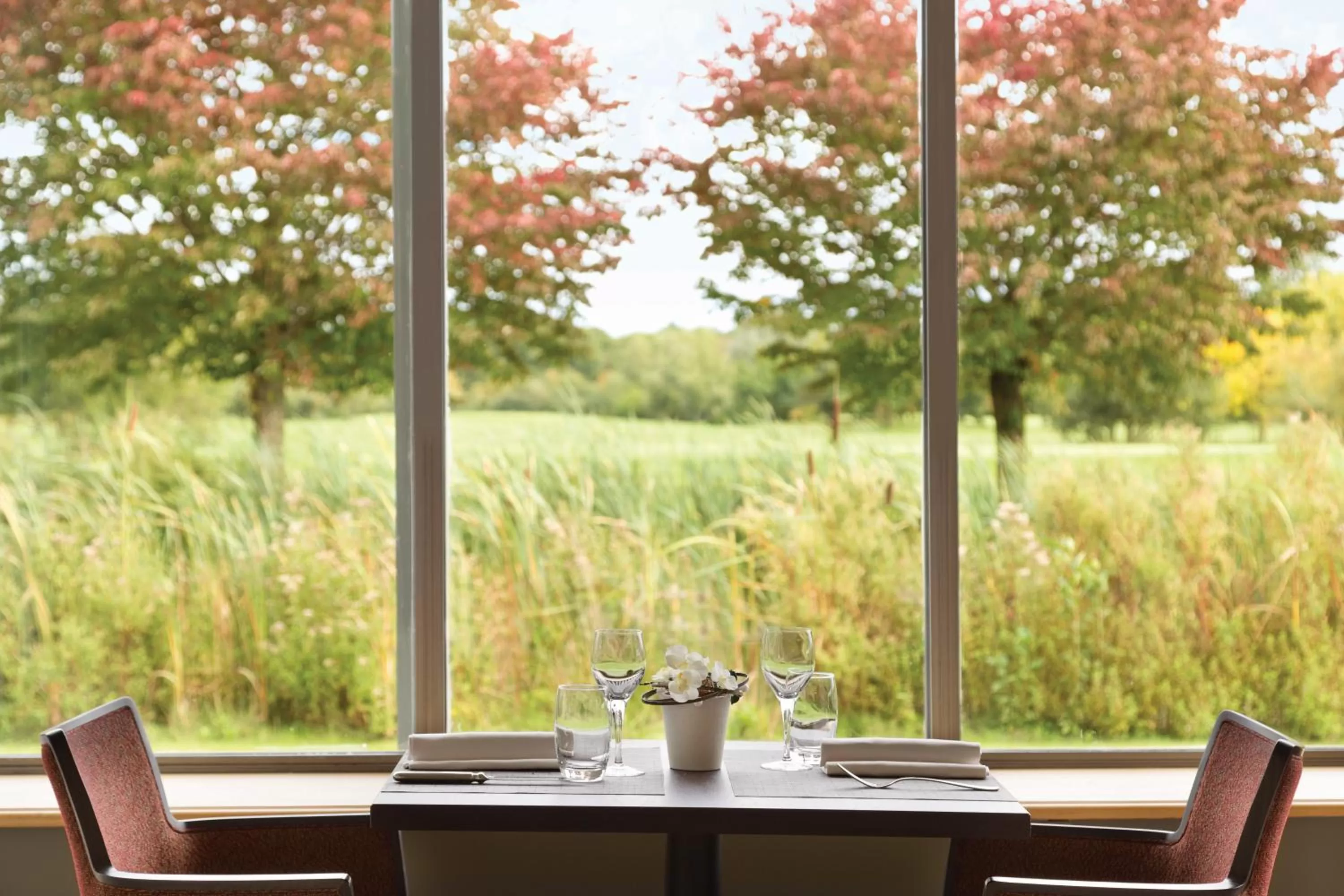 Lounge or bar in Mercure Chantilly Resort & Conventions