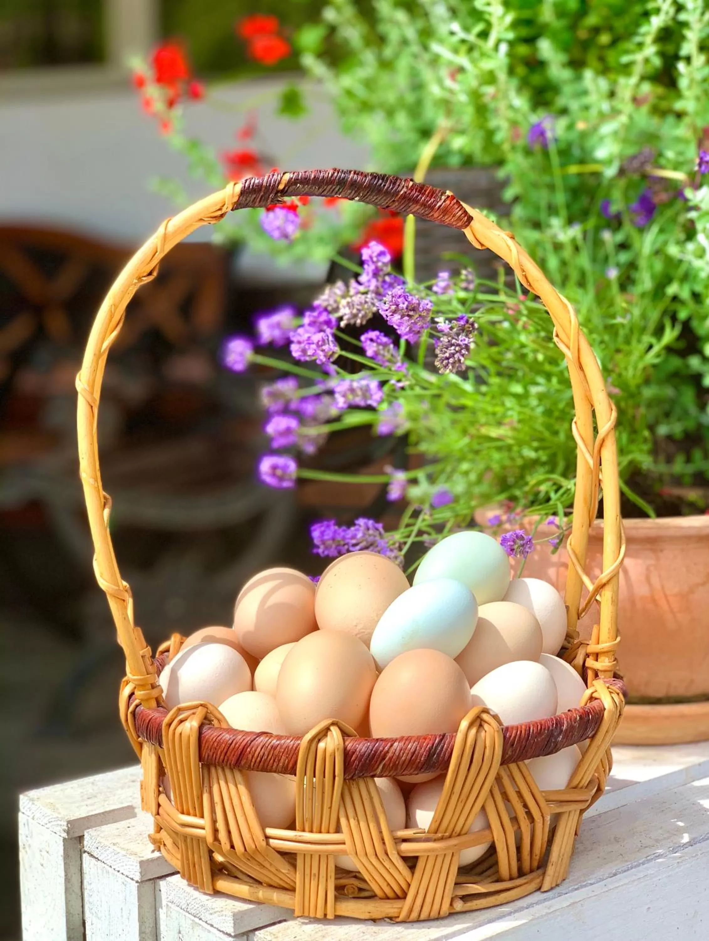 Food in Ziołowa Dolina
