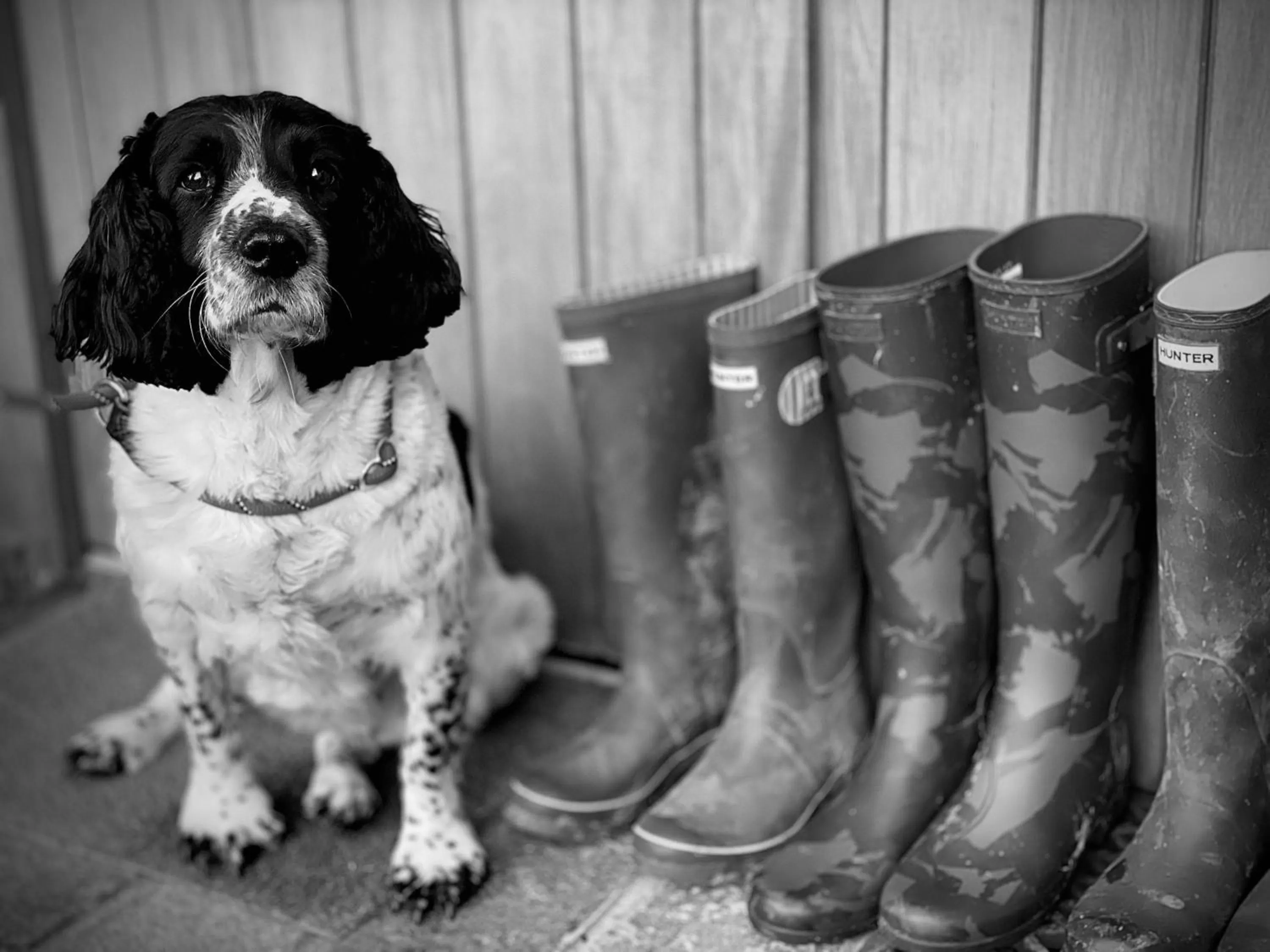 Other in Harpur's of Melbourne