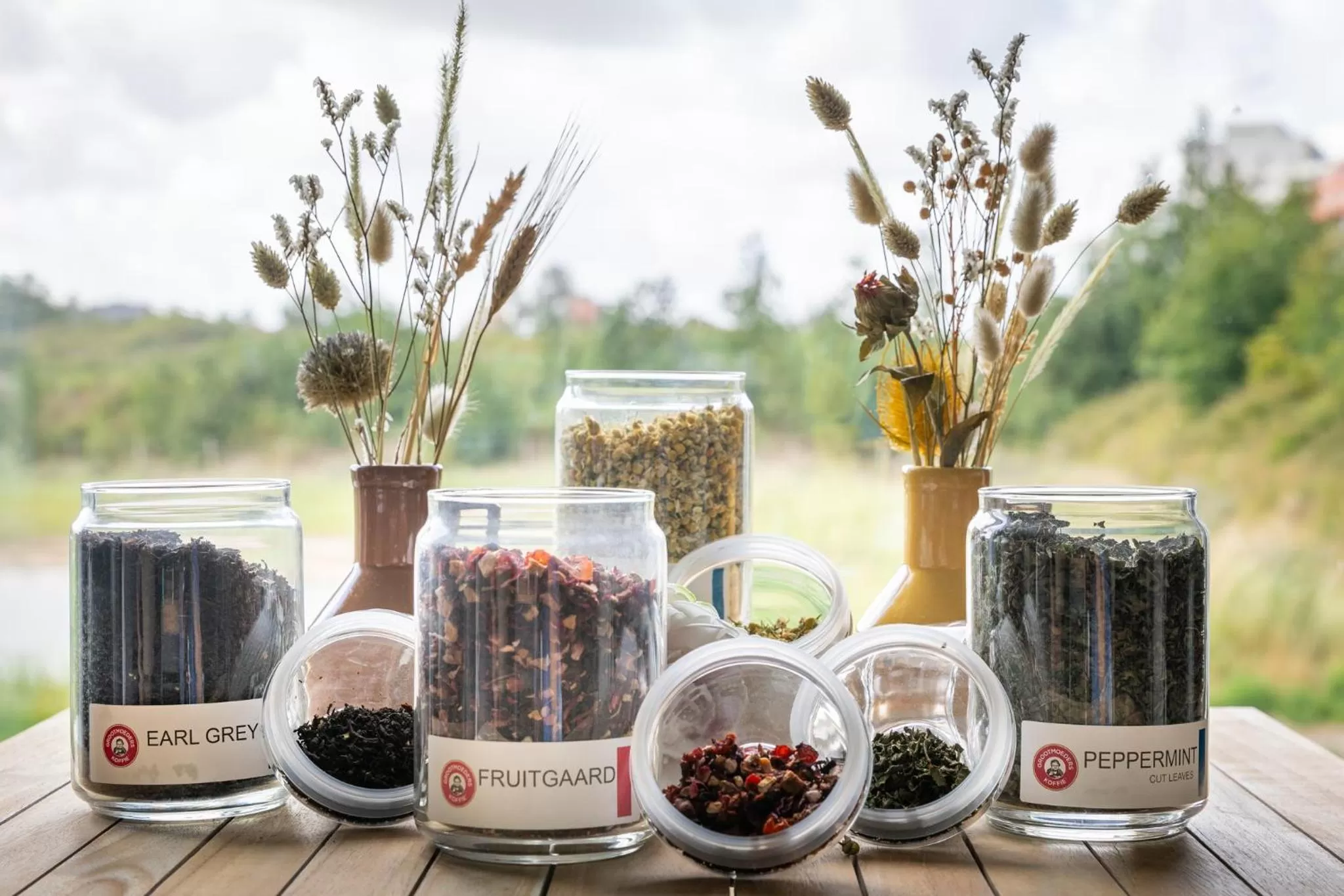 Garden view in Dune Hotel Nieuwpoort