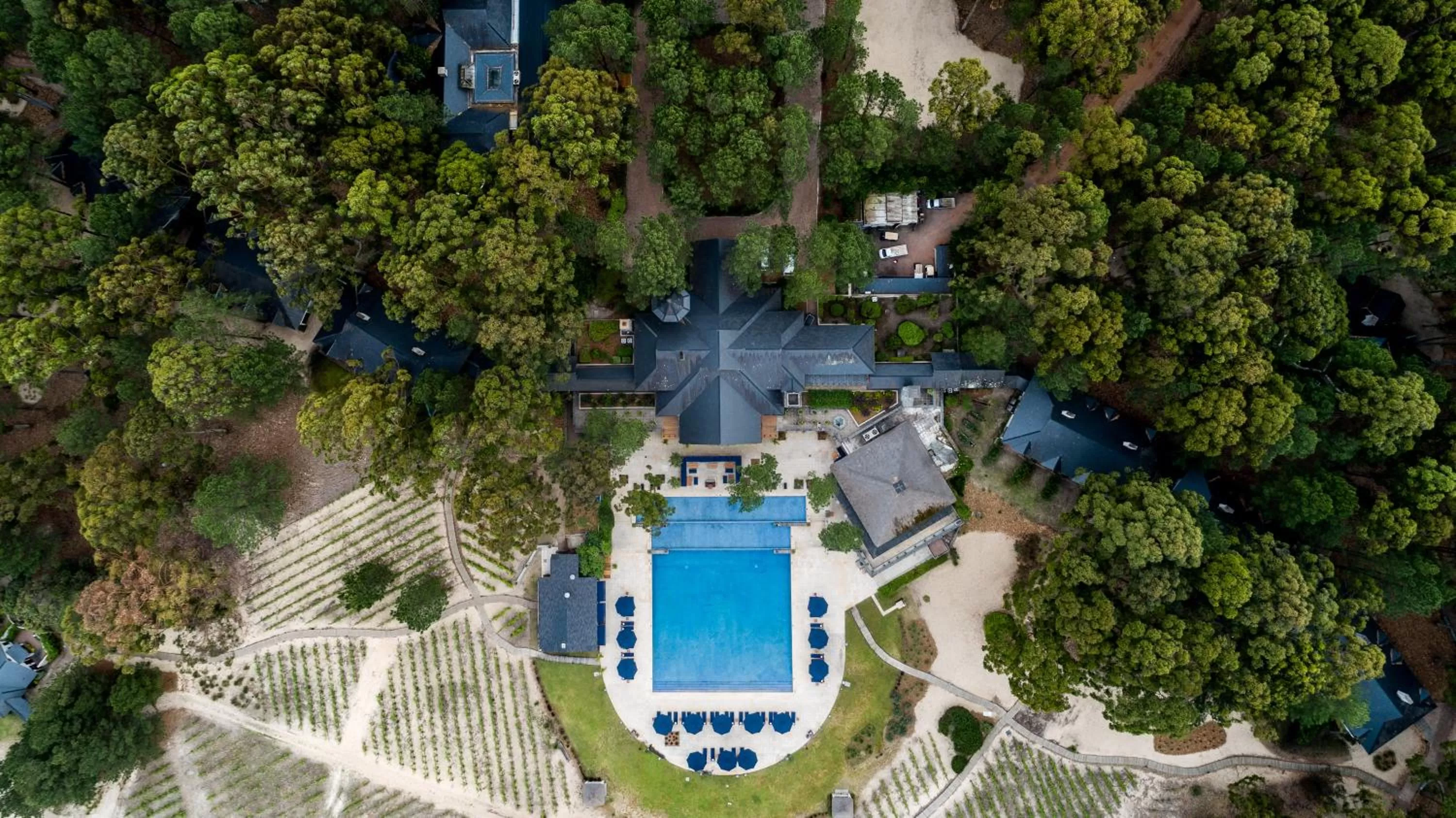 Pool view in Carmelo Resort & Spa