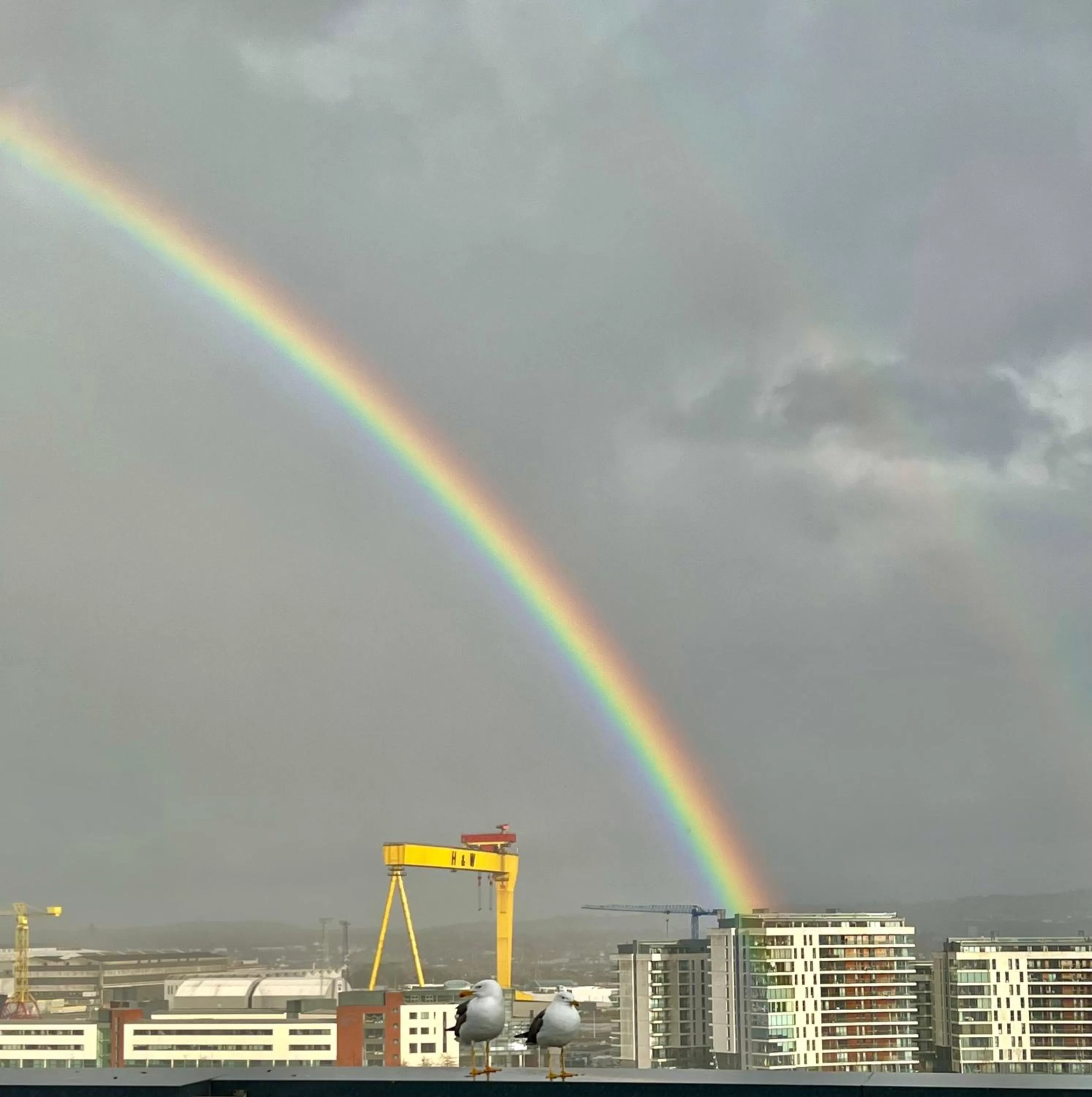 ROTTERDAM BED & BREAKFAST