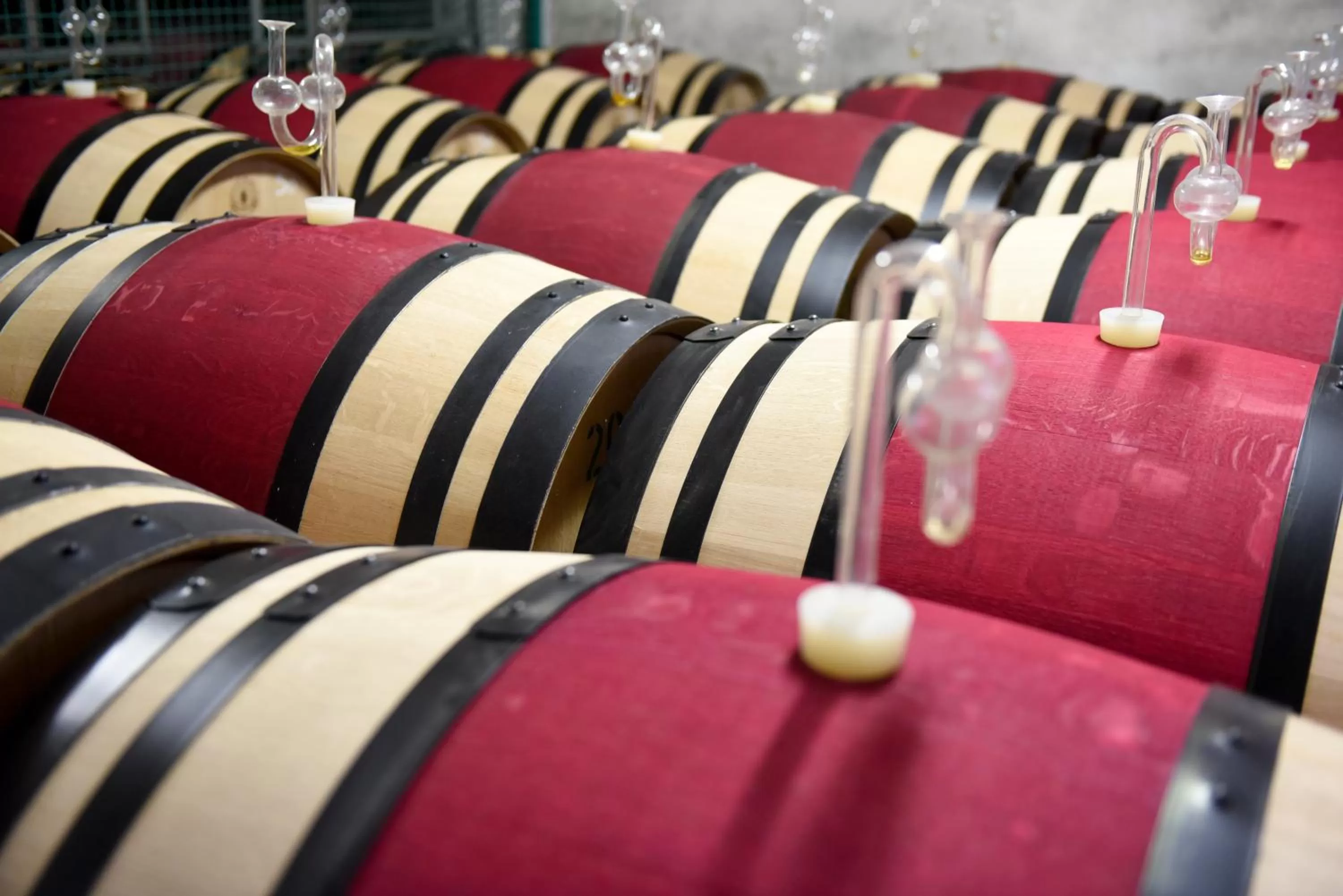 Area and facilities in Wein Hotel Koegler