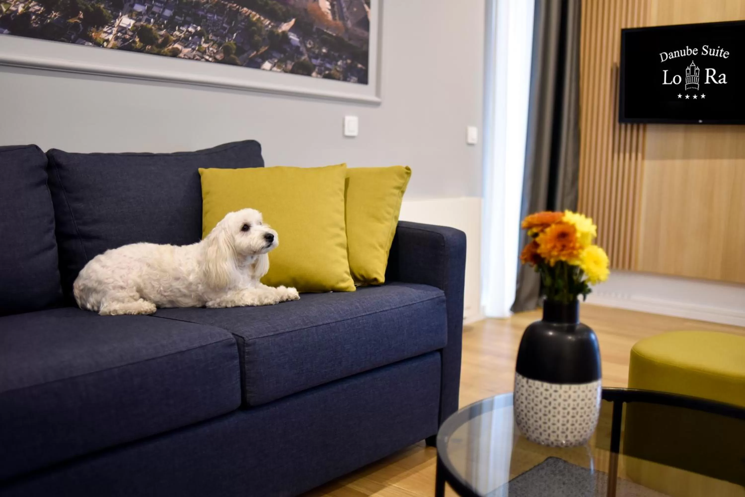 Living room, Pets in Hotel LoRa