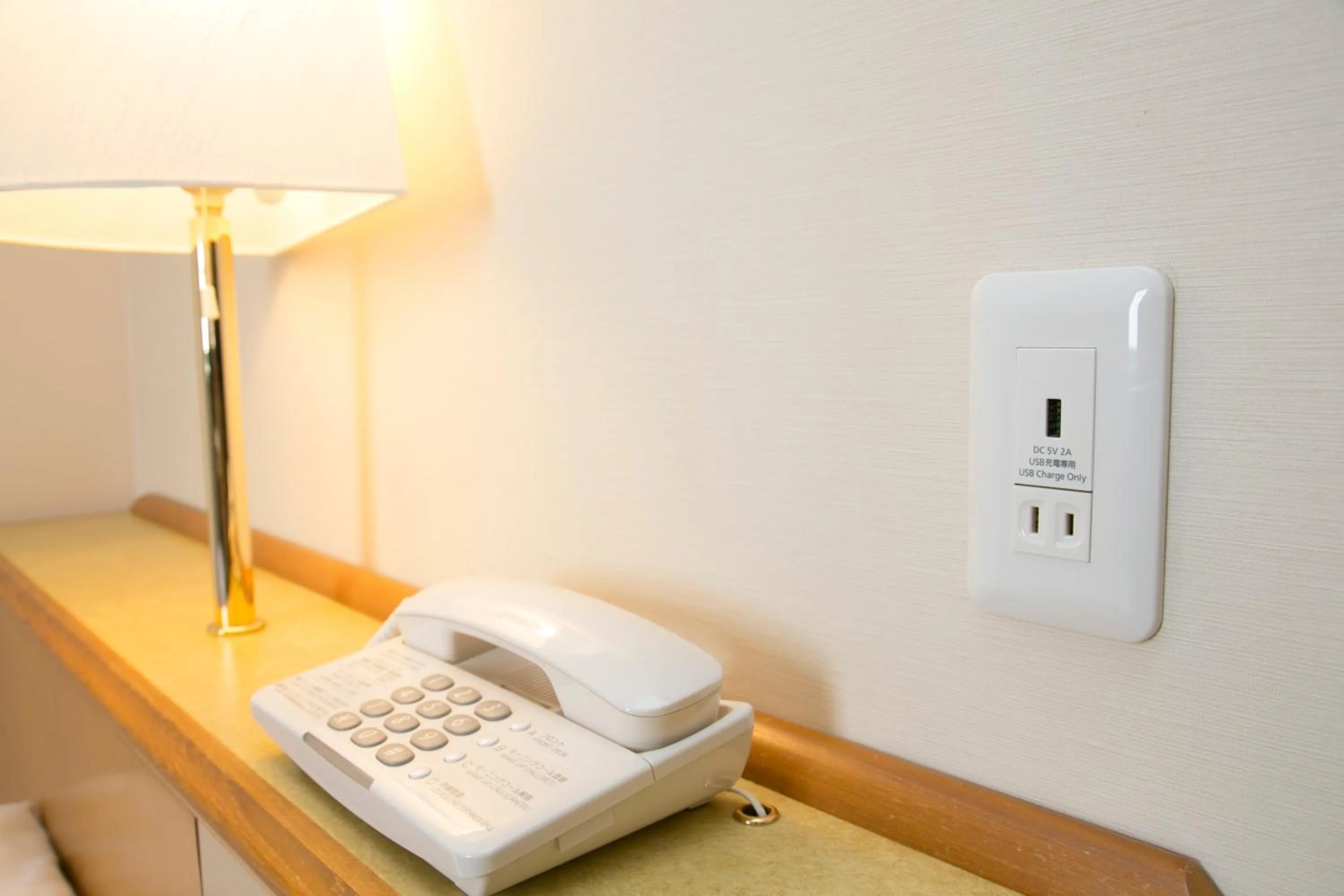 Decorative detail in Ace Inn Matsumoto