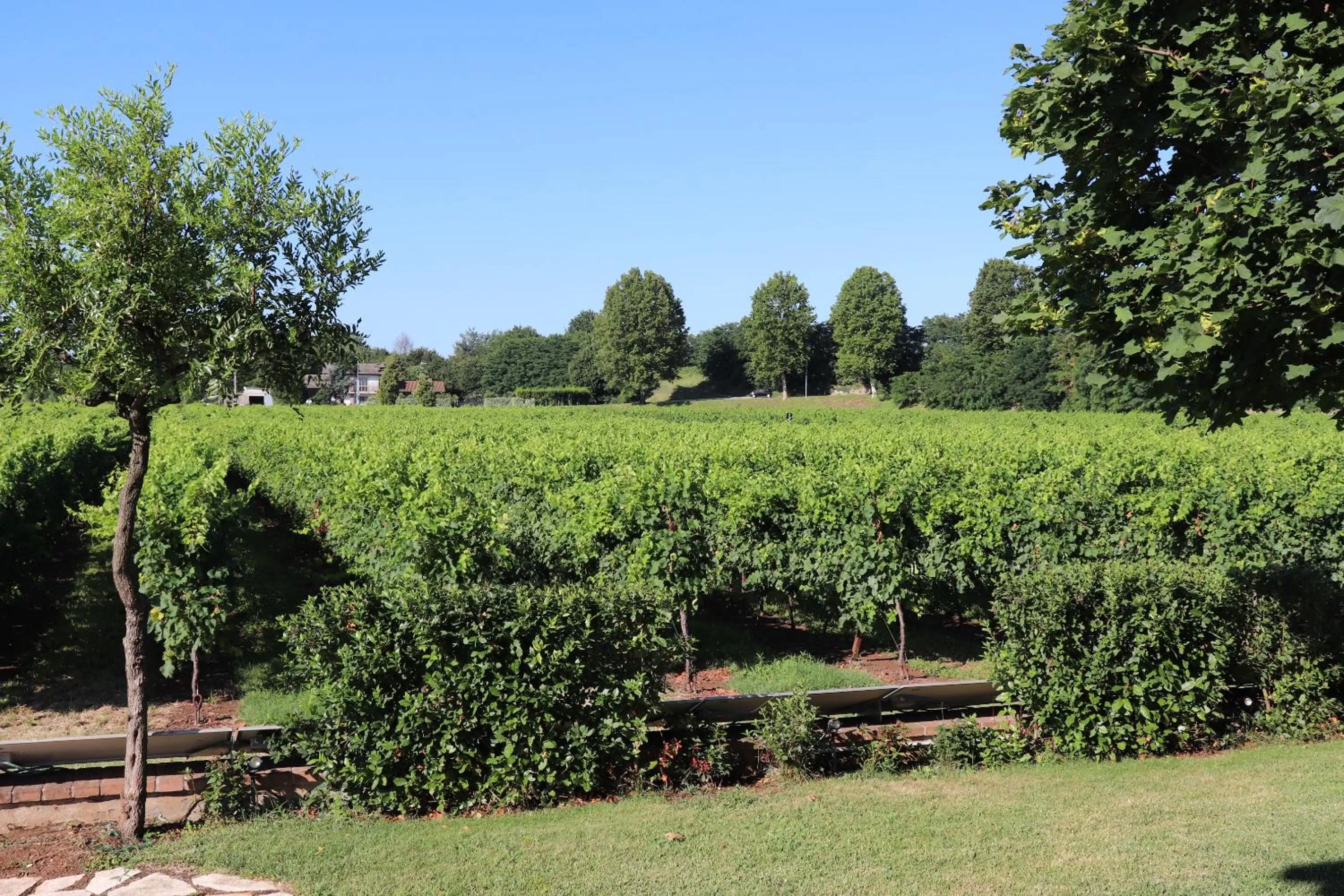 Swimming pool in El Canfin