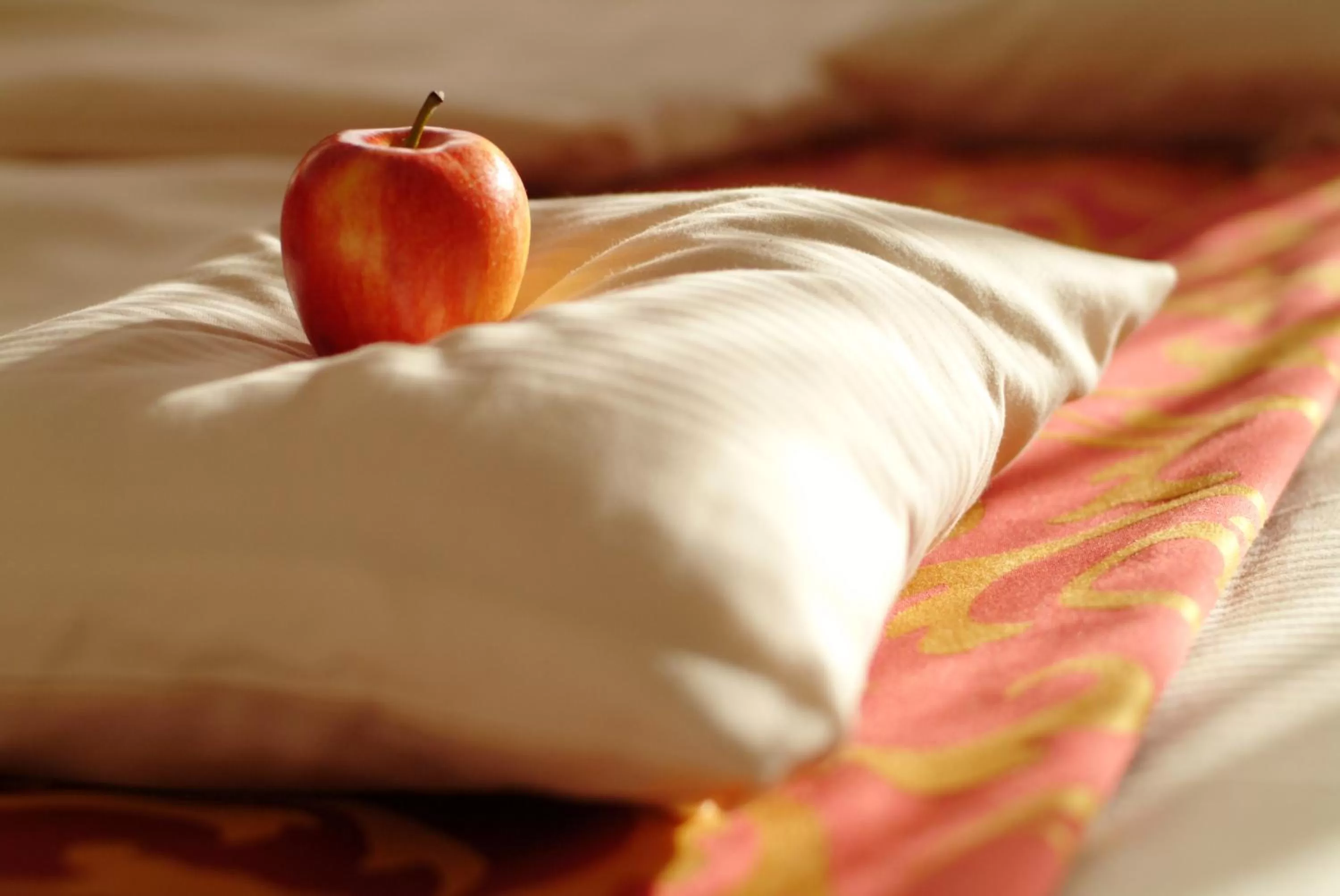 Decorative detail, Bed in Hotel & Restaurant Walfisch