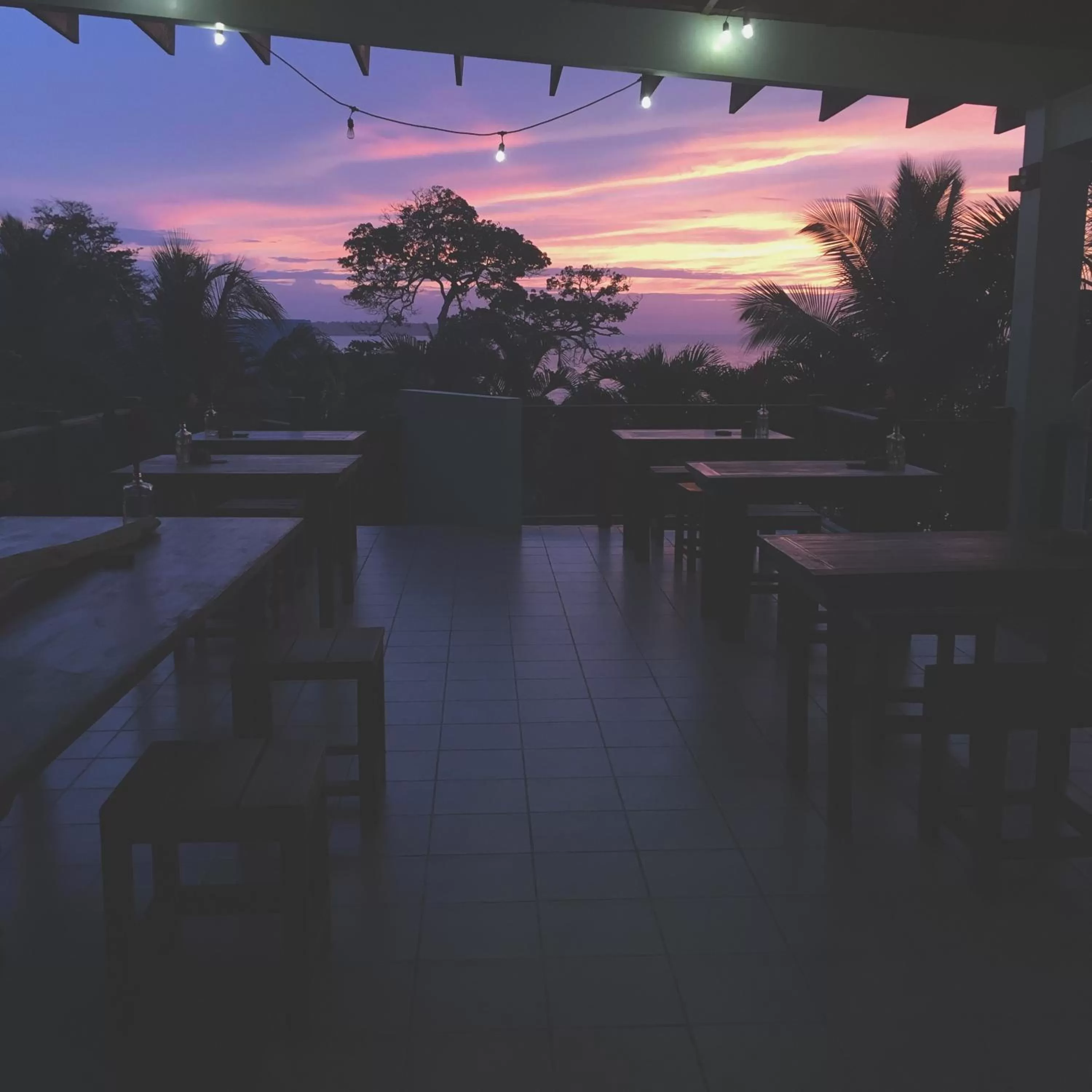 Restaurant/Places to Eat in Bird Island Bungalows