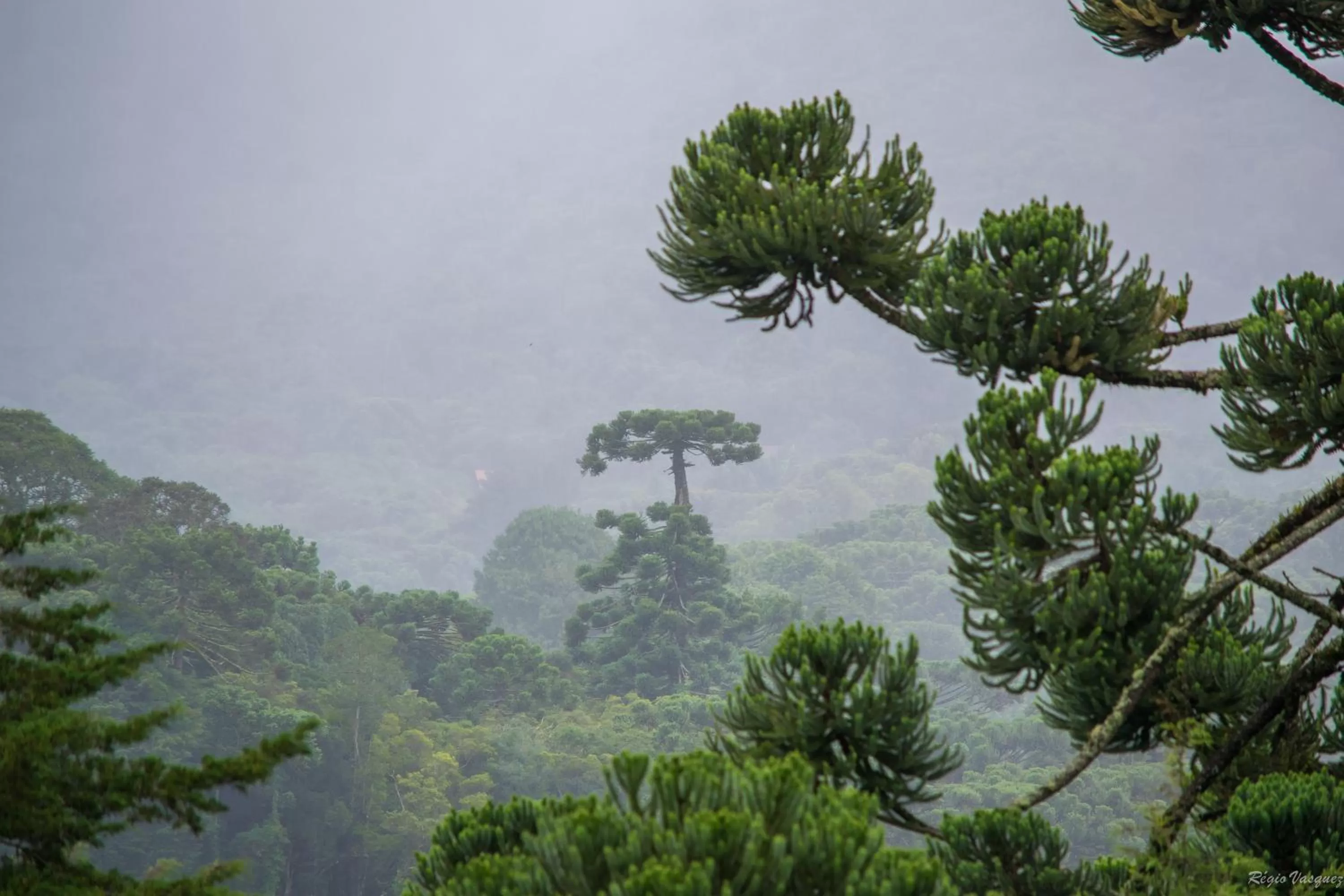 Natural landscape in Pousada Ricanto Amore Mio