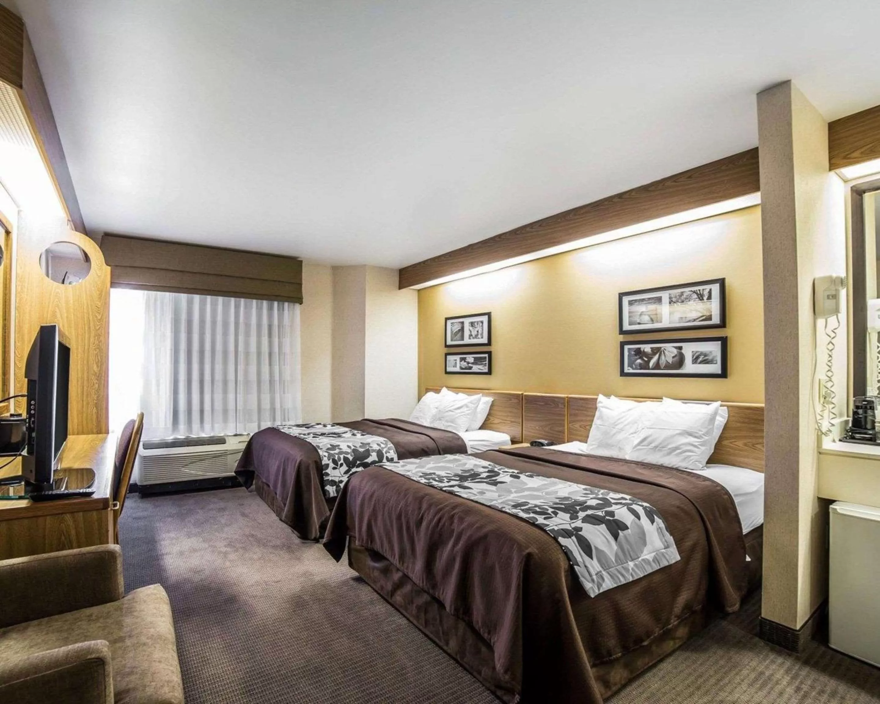 Photo of the whole room, Bed in Quality Inn Moab Slickrock Area