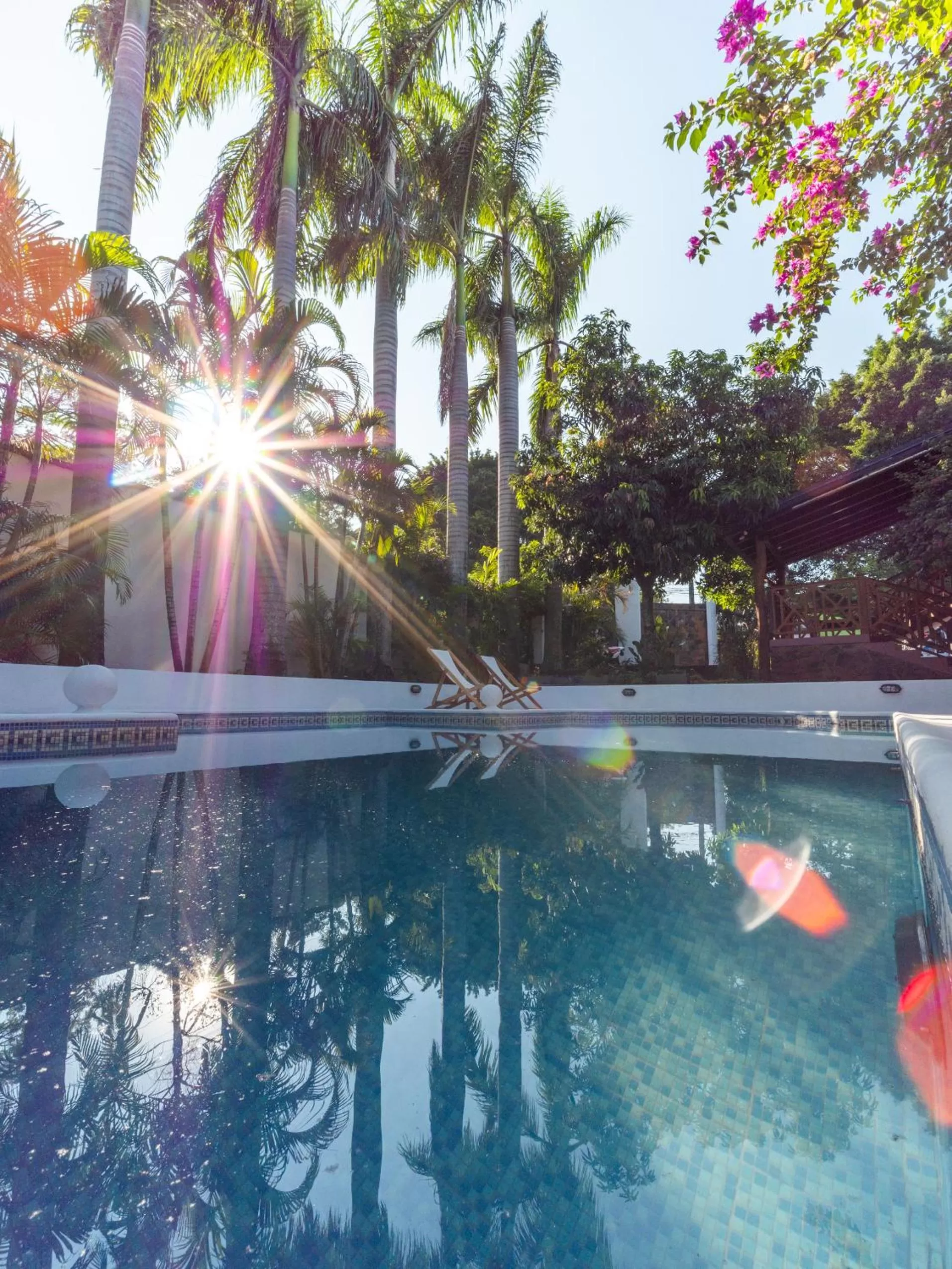 Swimming pool in Palma Real Posada