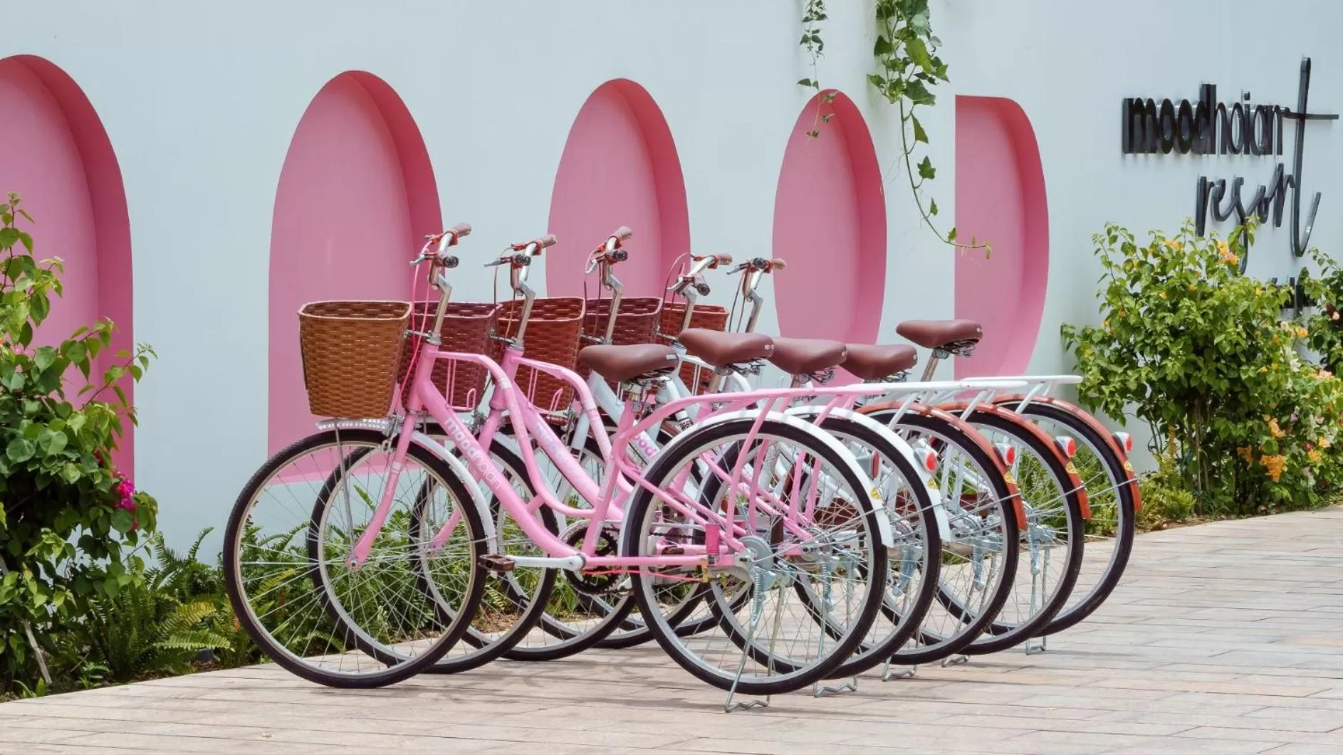 Area and facilities in Moodhoian Riverside Resort & Spa