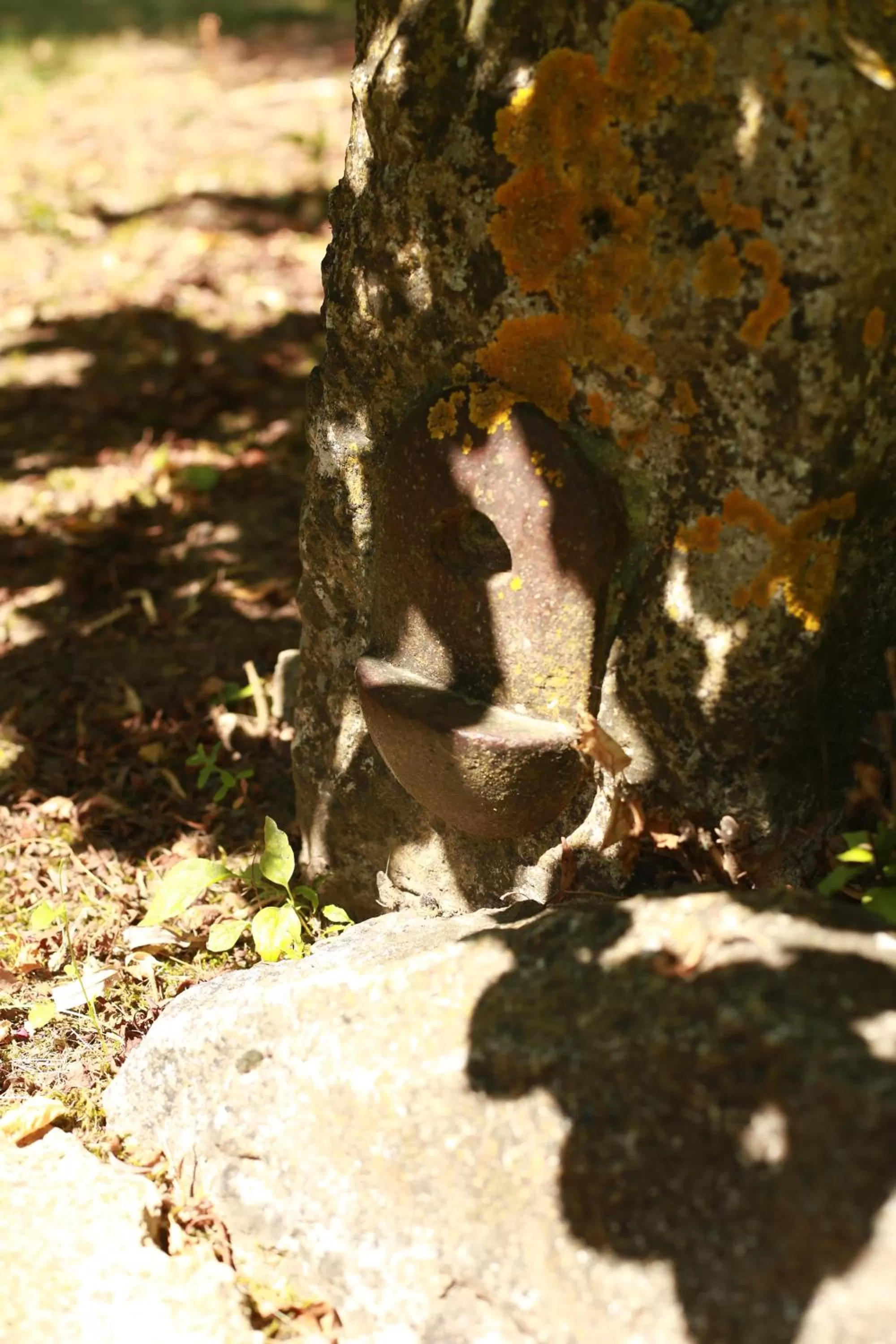 Property building in Les Rêves de Flamboin