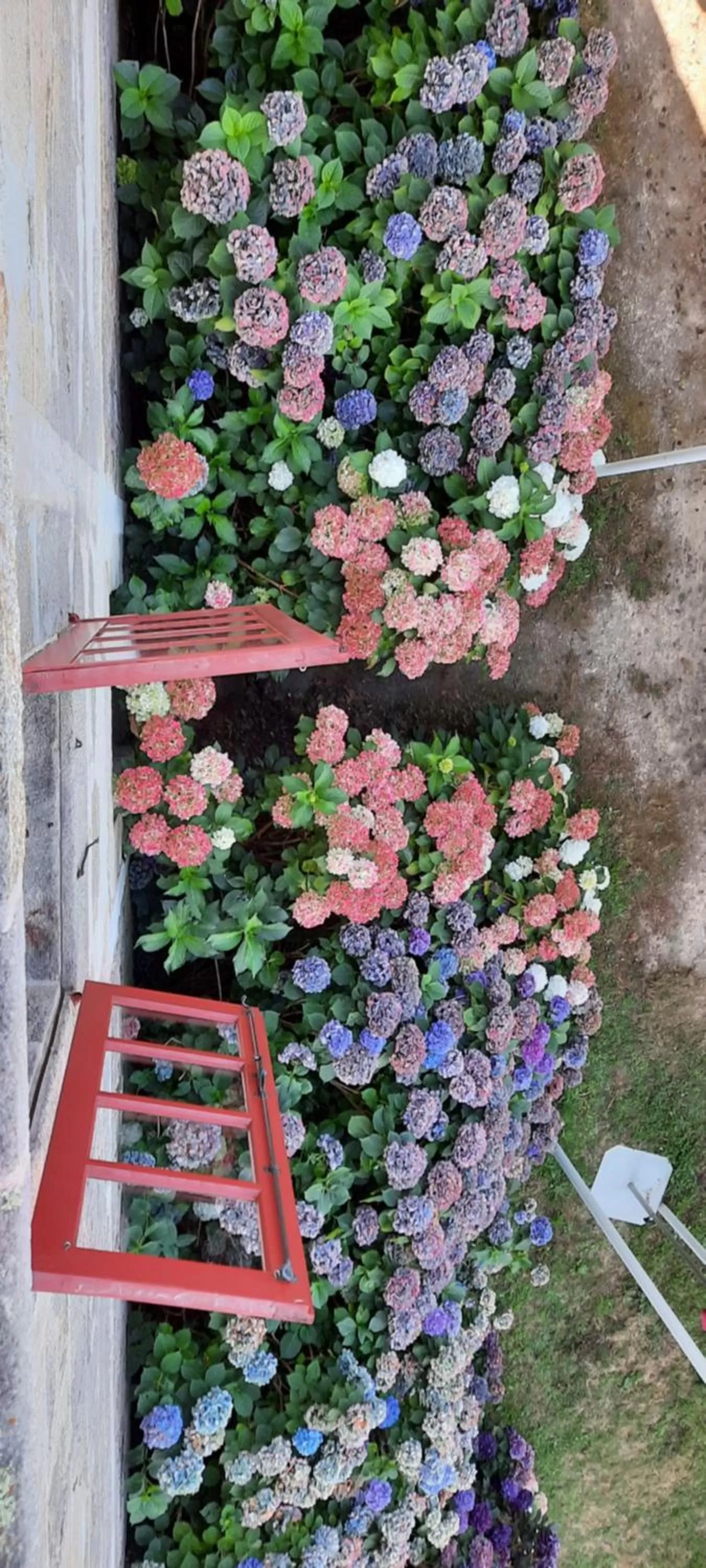 Spring in Rectoral de Anllo