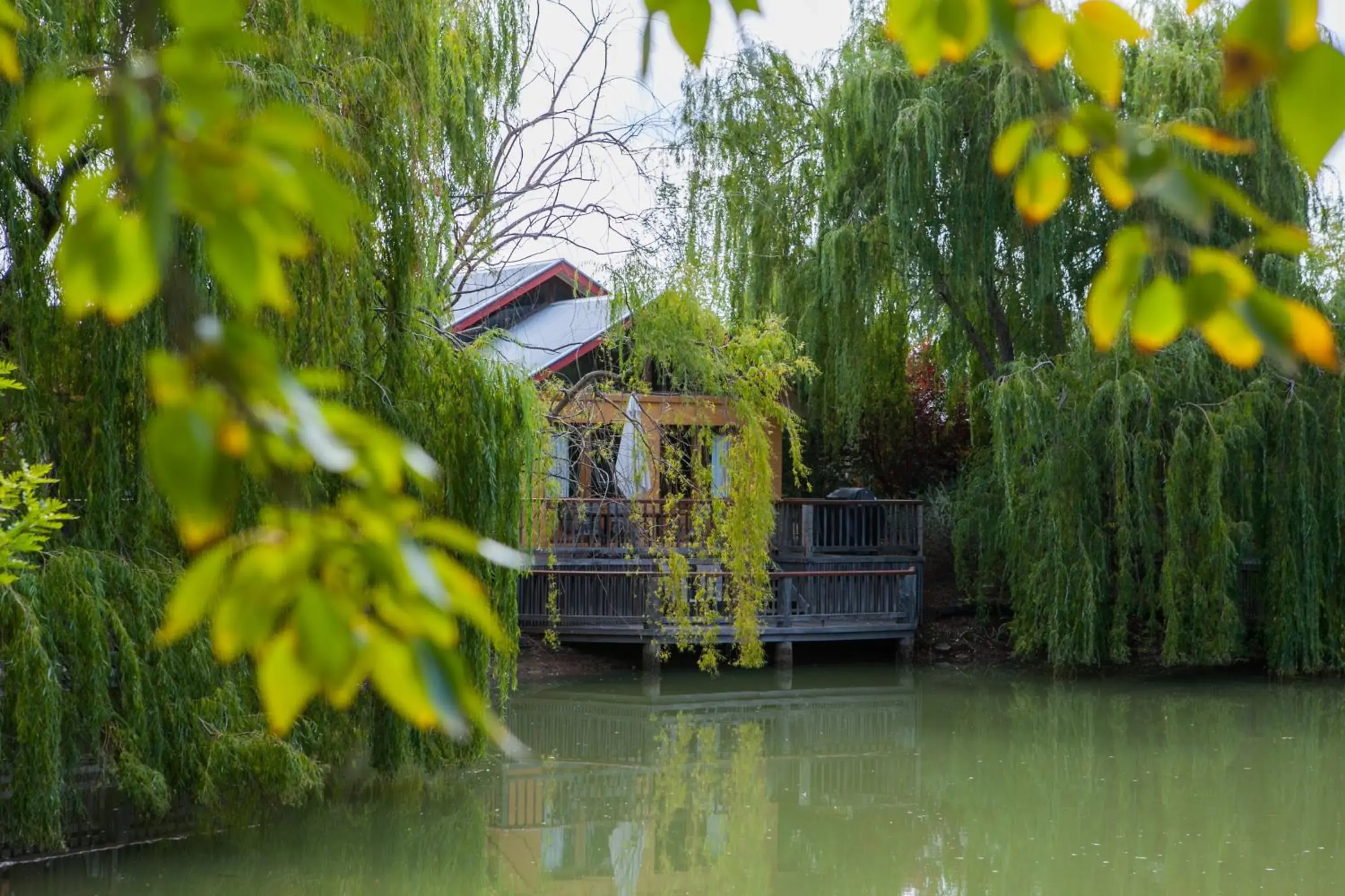 Perricoota Vines Retreat Perricoota Vines Retreat