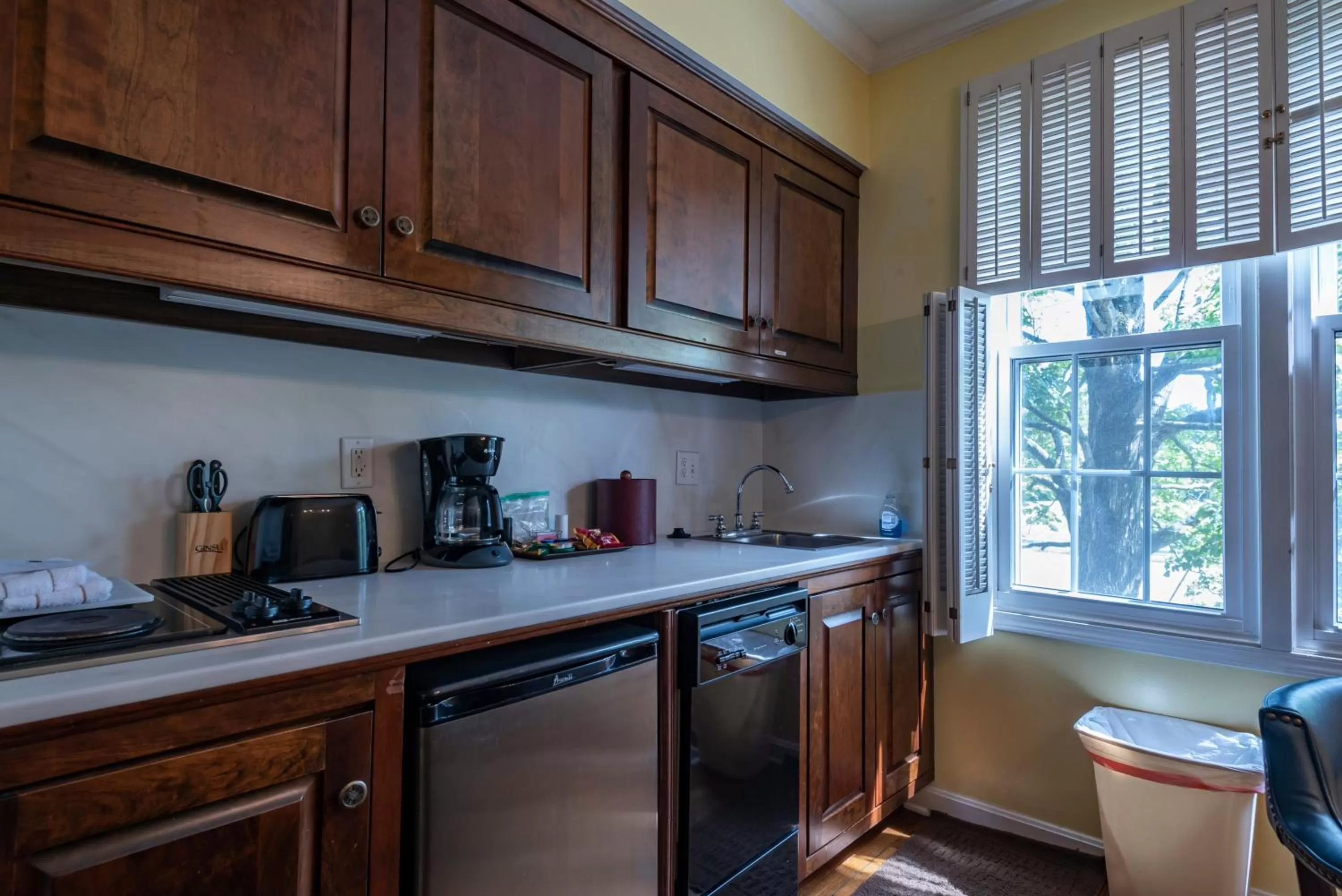 Kitchen or kitchenette in Century Suites Hotel
