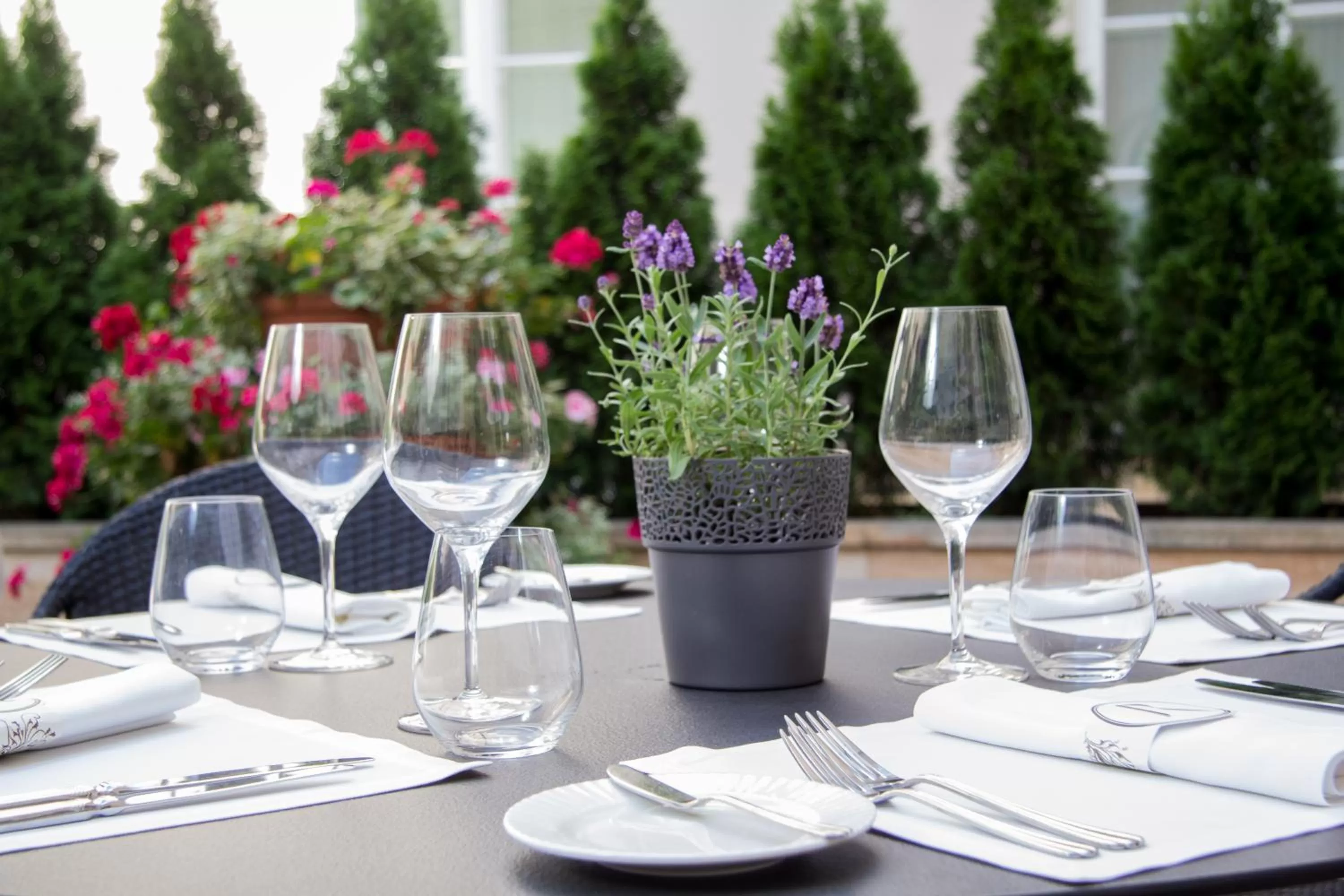 Patio in Mamaison Le Regina Boutique Hotel