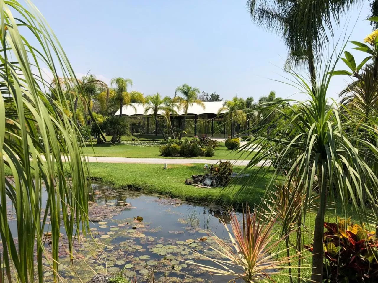 Garden in Huayacán Cuernavaca Curamoria Collection