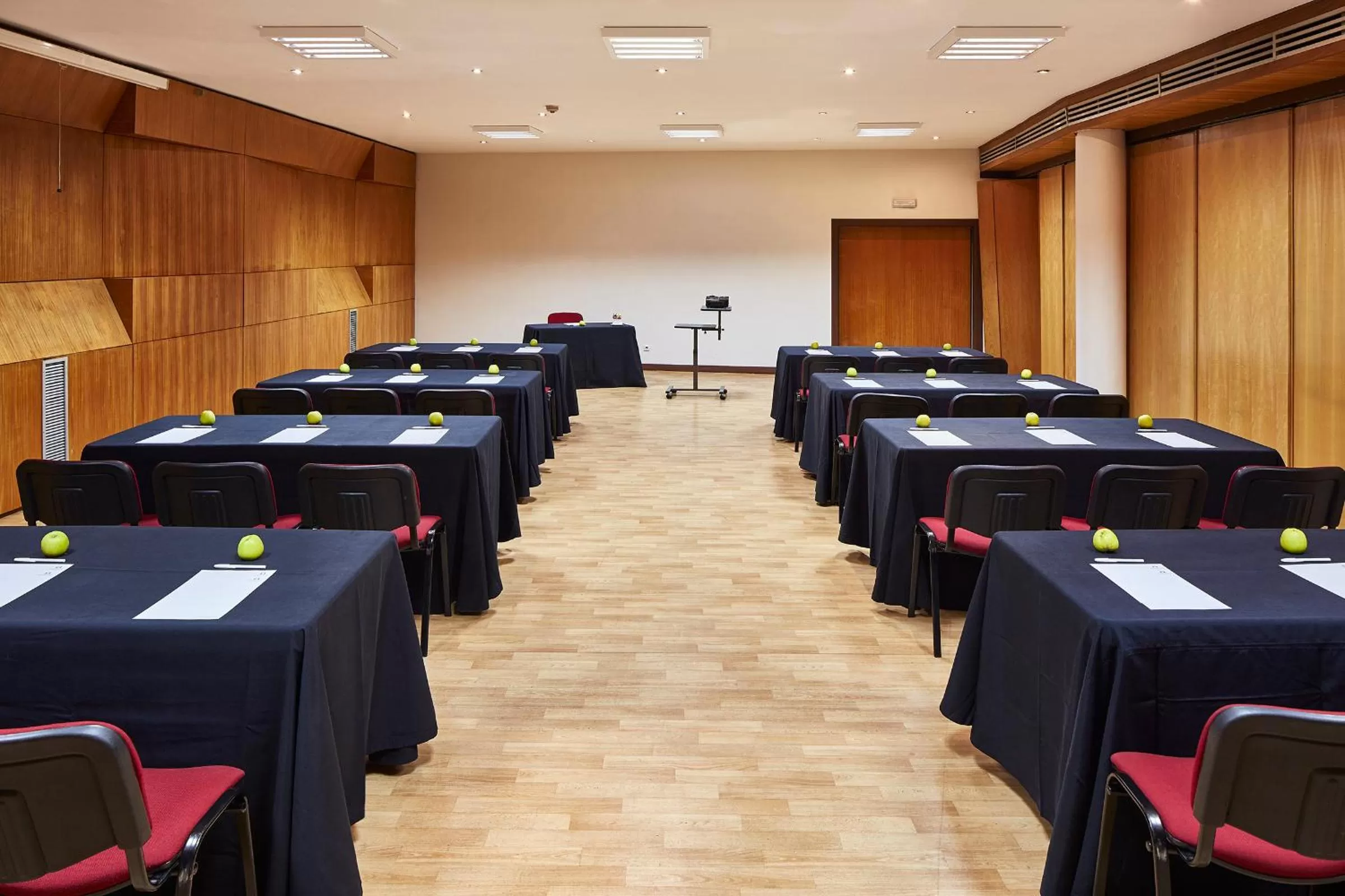 Meeting/conference room in Hotel As Americas